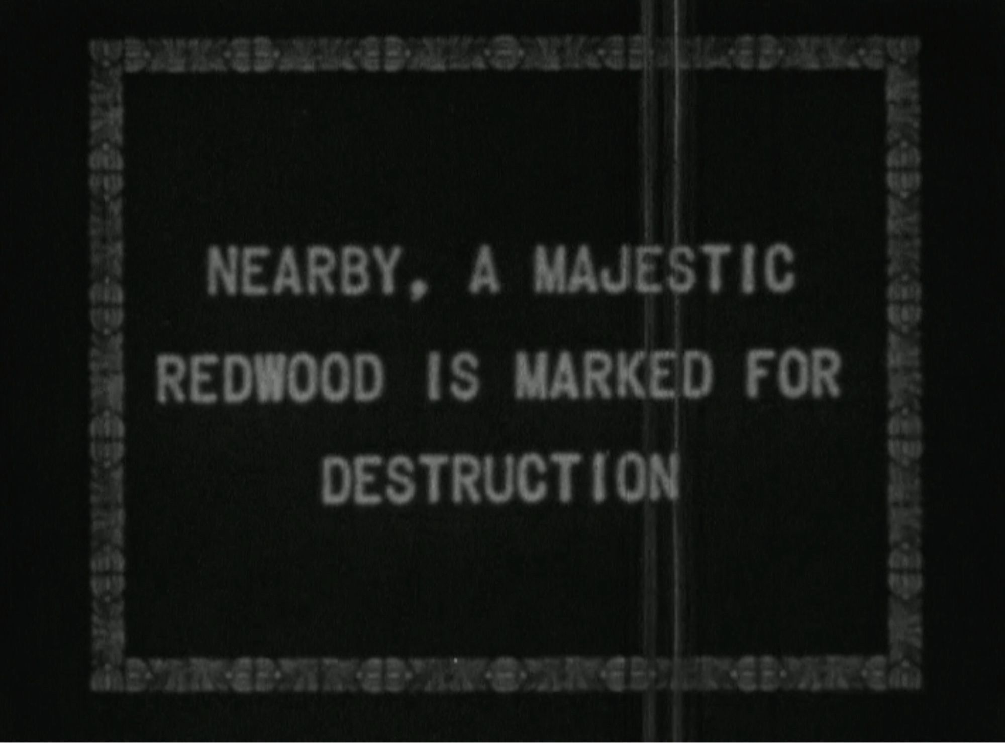 Silent film intertitle that reads, NEARBY, A MAJESTIC REDWOOD IS MARKED FOR DESTRUCTION”