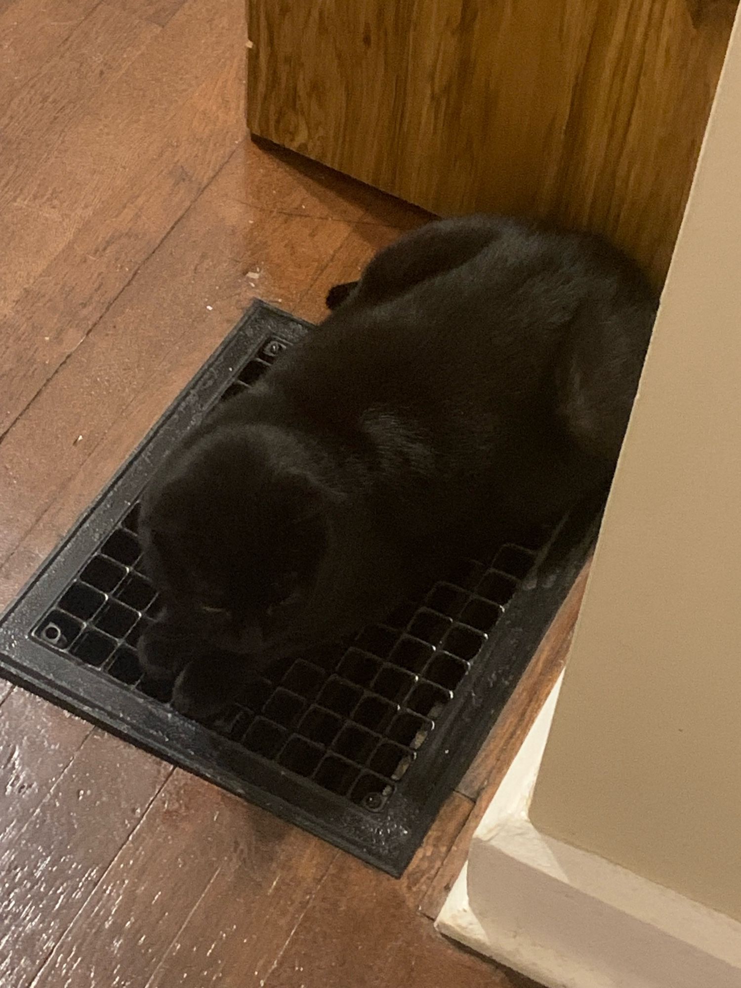 A black cat laying on a heating vent, because of course it exists for her