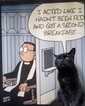 A cartoon priest sits in a confessional listens through the grill to a black cat. “I acted like I hadn’t been fed and got a second breakfast…”