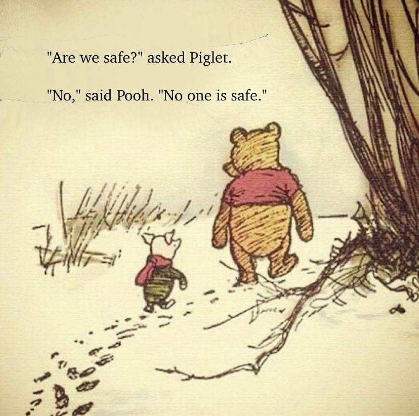 Winnie the Pooh cartoon.

Are we safe? asks piglet

No said Pooh. No one is safe