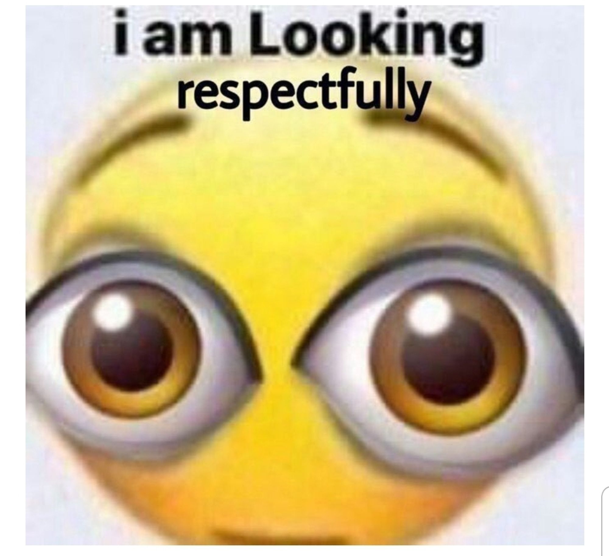 Fuzzy meme of an emoji with huge brown eyes; the text above it says "i am looking respectfully "