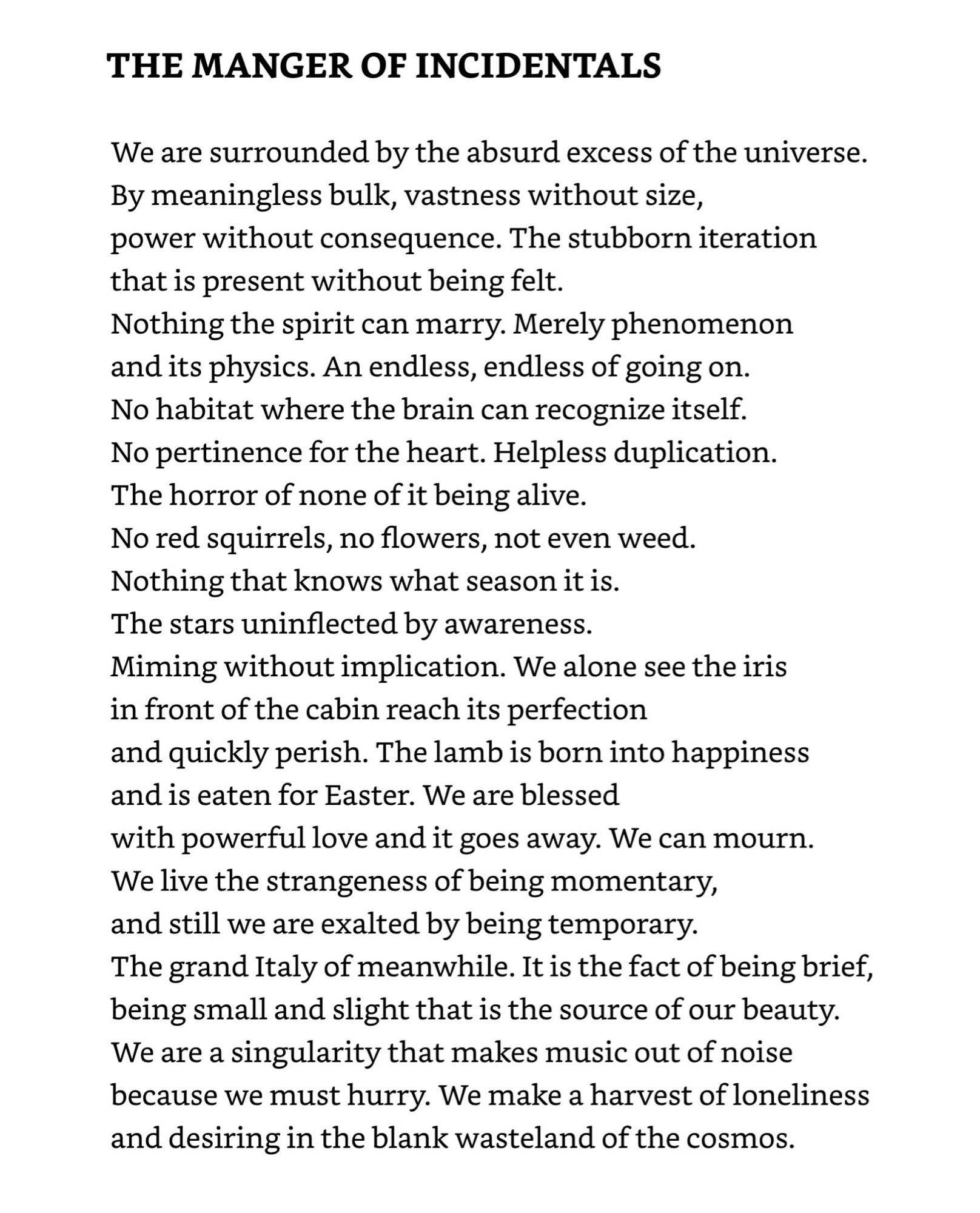 THE MANGER OF INCIDENTALS
We are surrounded by the absurd excess of the universe.
By meaningless bulk, vastness without size, power without consequence. The stubborn iteration that is present without being felt.
Nothing the spirit can marry. Merely phenomenon and its physics. An endless, endless of going on.
No habitat where the brain can recognize itself.
No pertinence for the heart. Helpless duplication.
The horror of none of it being alive.
No red squirrels, no flowers, not even weed.
Nothing that knows what season it is.
The stars uninflected by awareness.
Miming without implication. We alone see the iris in front of the cabin reach its perfection and quickly perish. The lamb is born into happiness and is eaten for Easter. We are blessed
with powerful love and it goes away. We can mourn.
We live the strangeness of being momentary, and still we are exalted by being temporary.
The grand Italy of meanwhile. It is the fact of being brief, being small and slight that is the source of ou