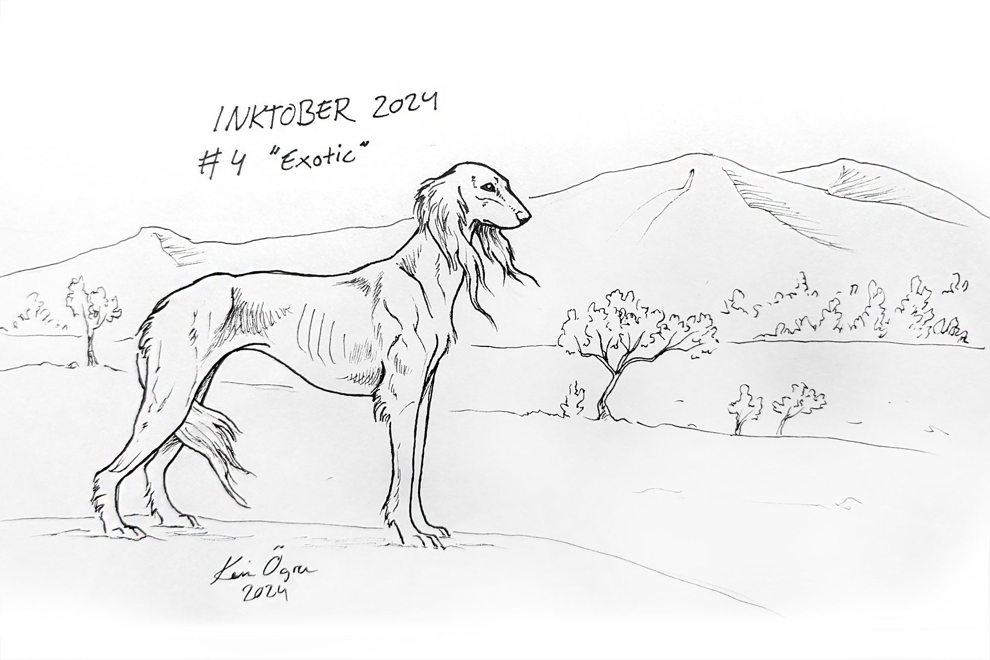 simple pen drawing of a saluki overlooking a desert landscape