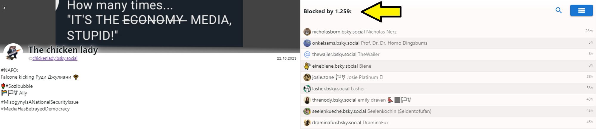 Screenshot von Clearsky, Hervorhebung: @chickenlady.bsky.social Blocked by 1.259