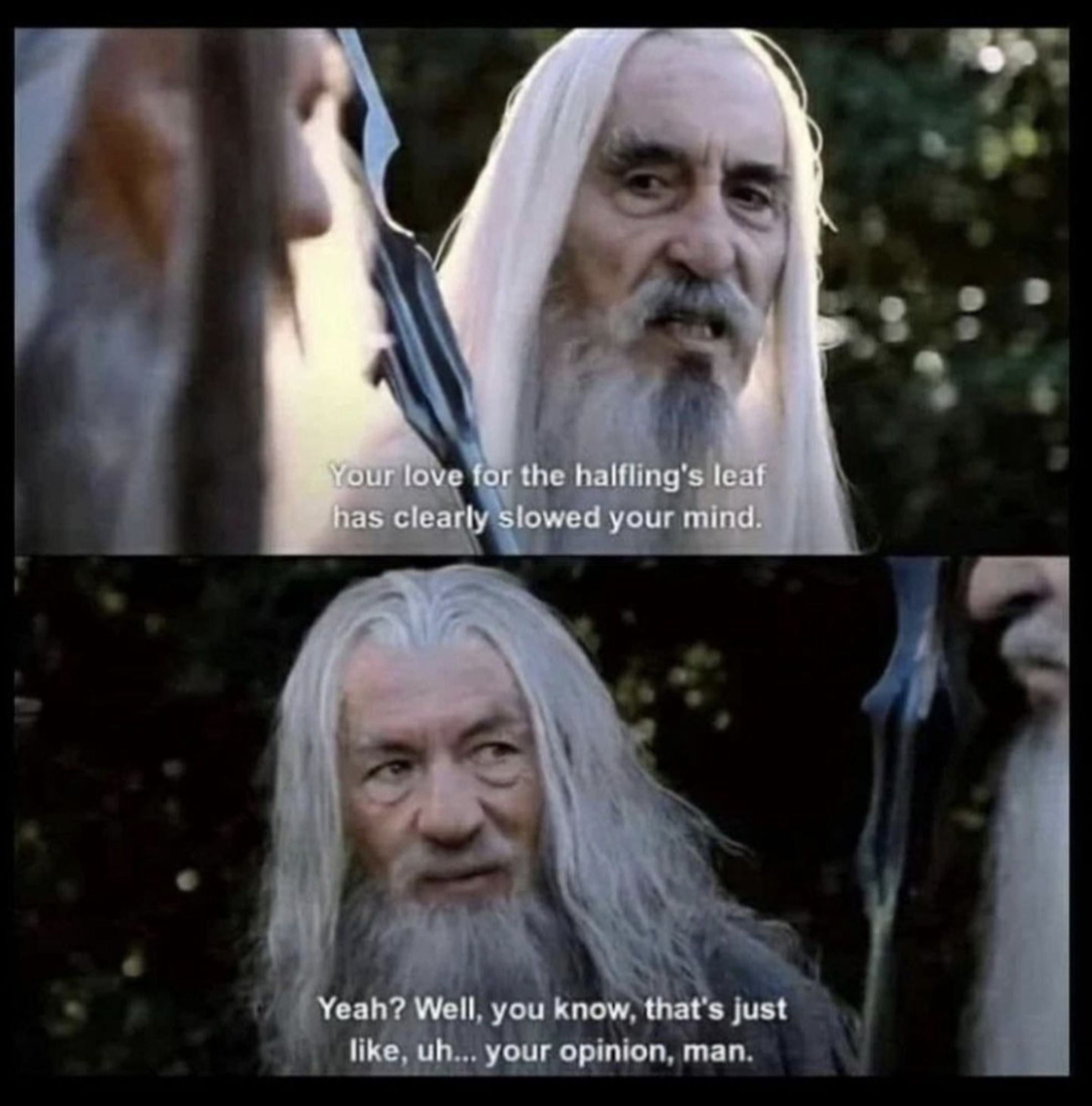 A two-panelled image of Saruman and Gandalf. In the top panel, Saruman is saying to Gandalf "your love for the halfling's leaf has clearly slowed your mind." In the bottom panel, Gandalf replies with "yeah? Well, you know, that's just like, uh... your opinion, man."