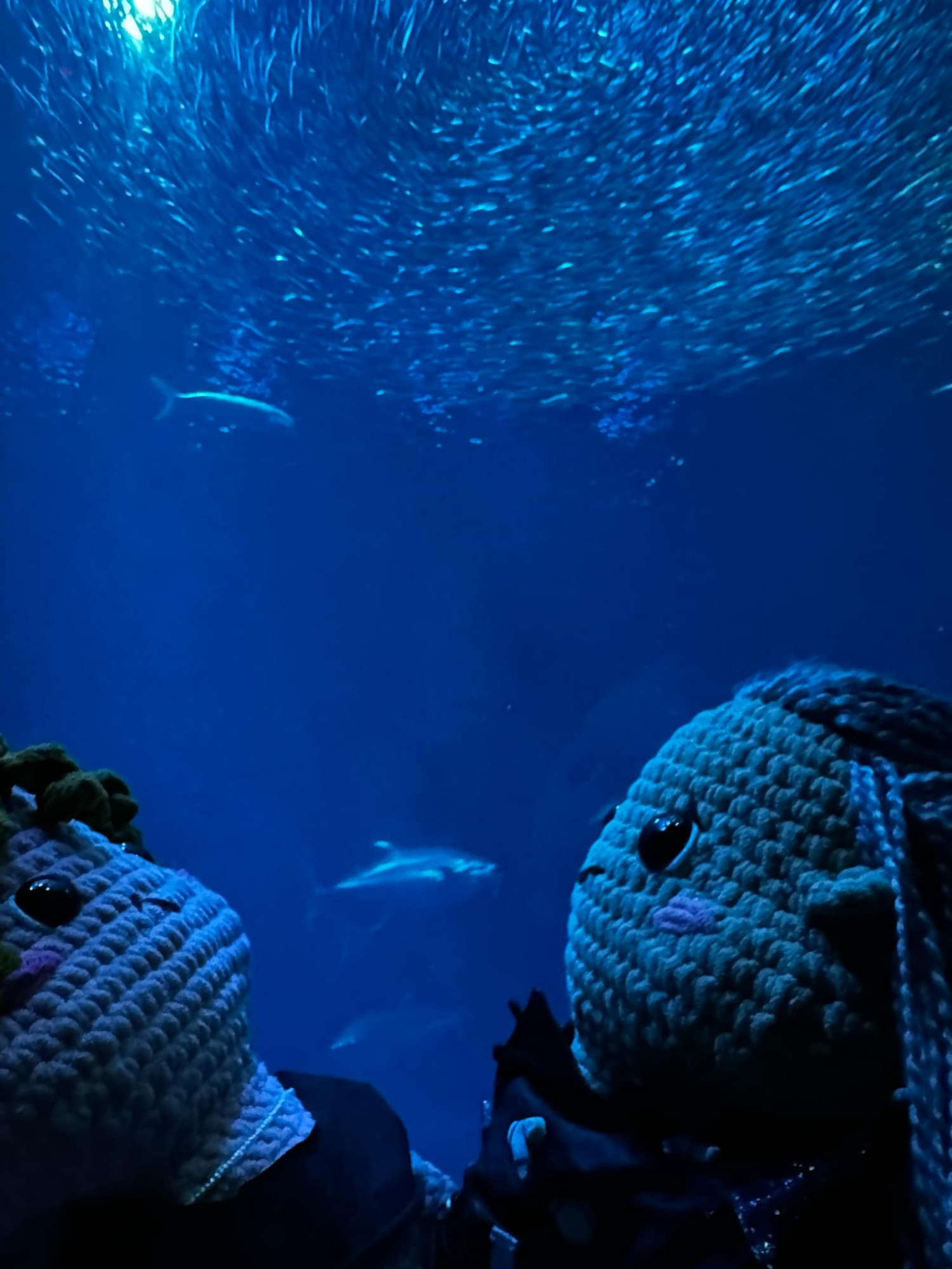 Crochet Ed and Stede looking at fish 