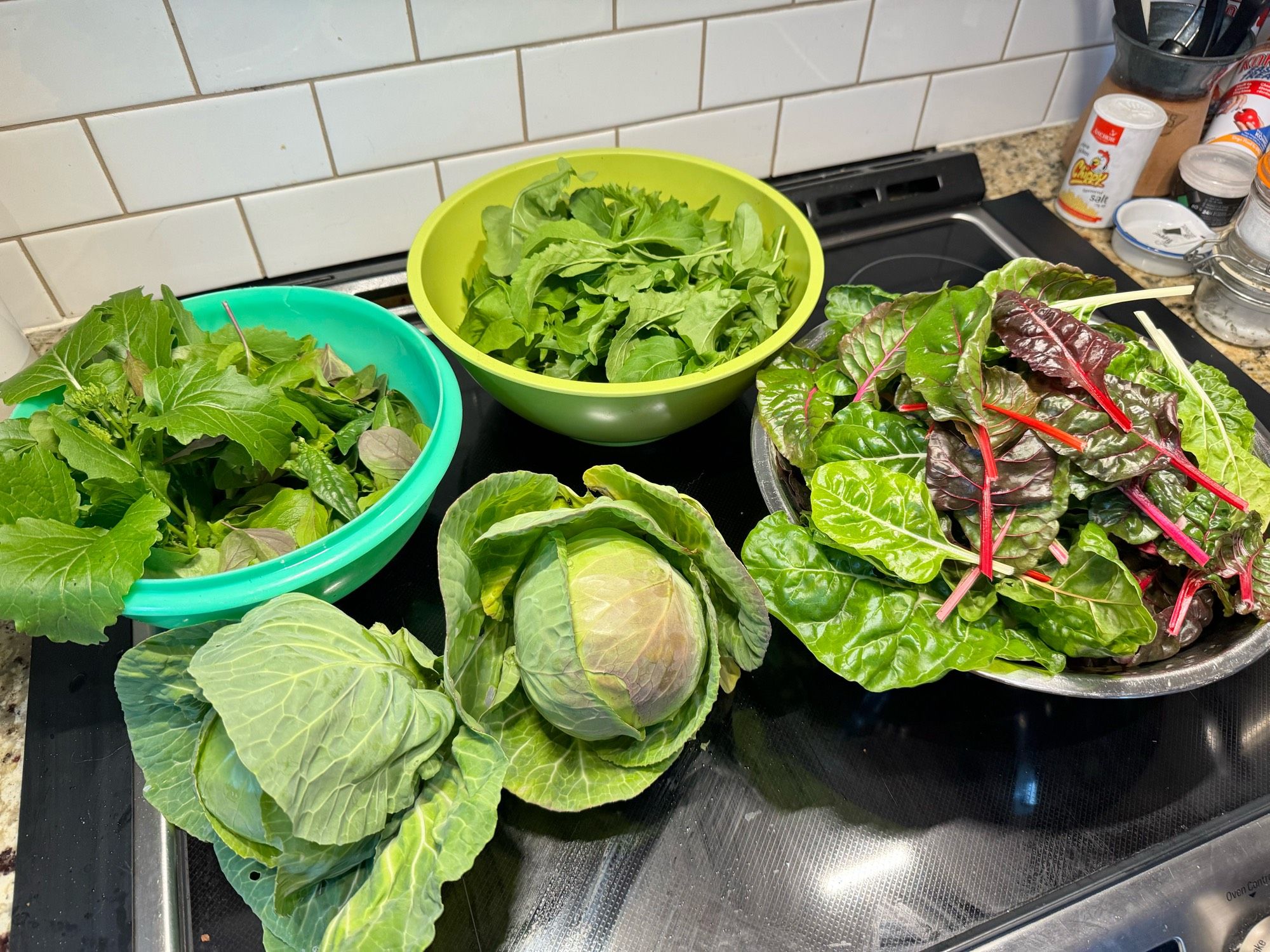 Bowls of things from the garden: salad greens and mini rapini, arugula, Swiss chard and two small cabbages. Not pictured: cilantro!