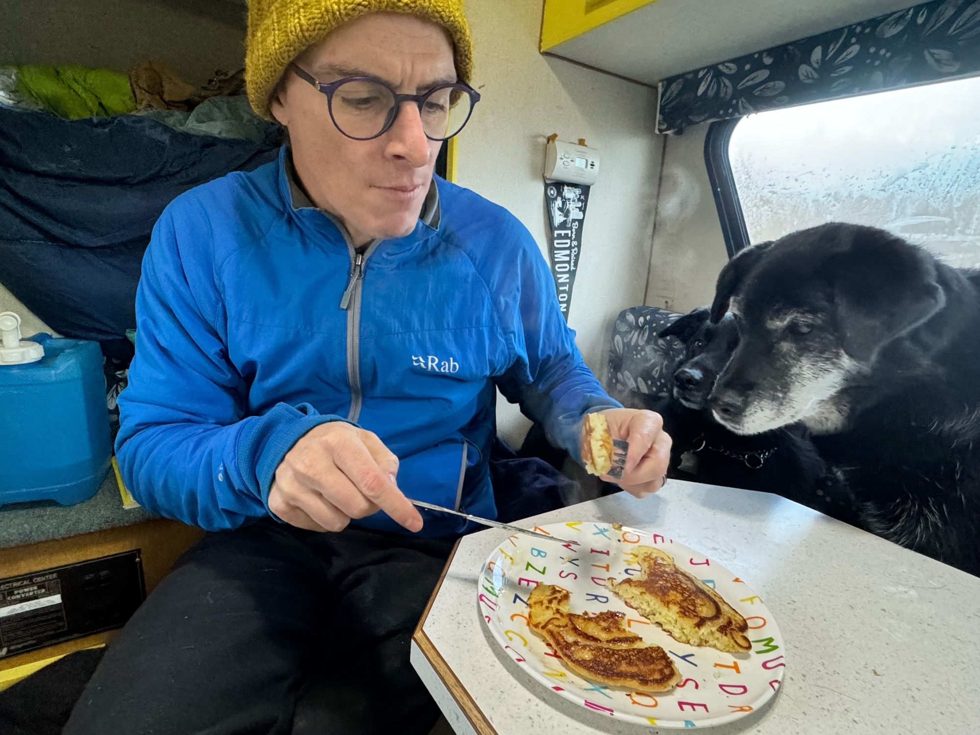 Man eats pancakes with maple syrup. Two dogs want it.