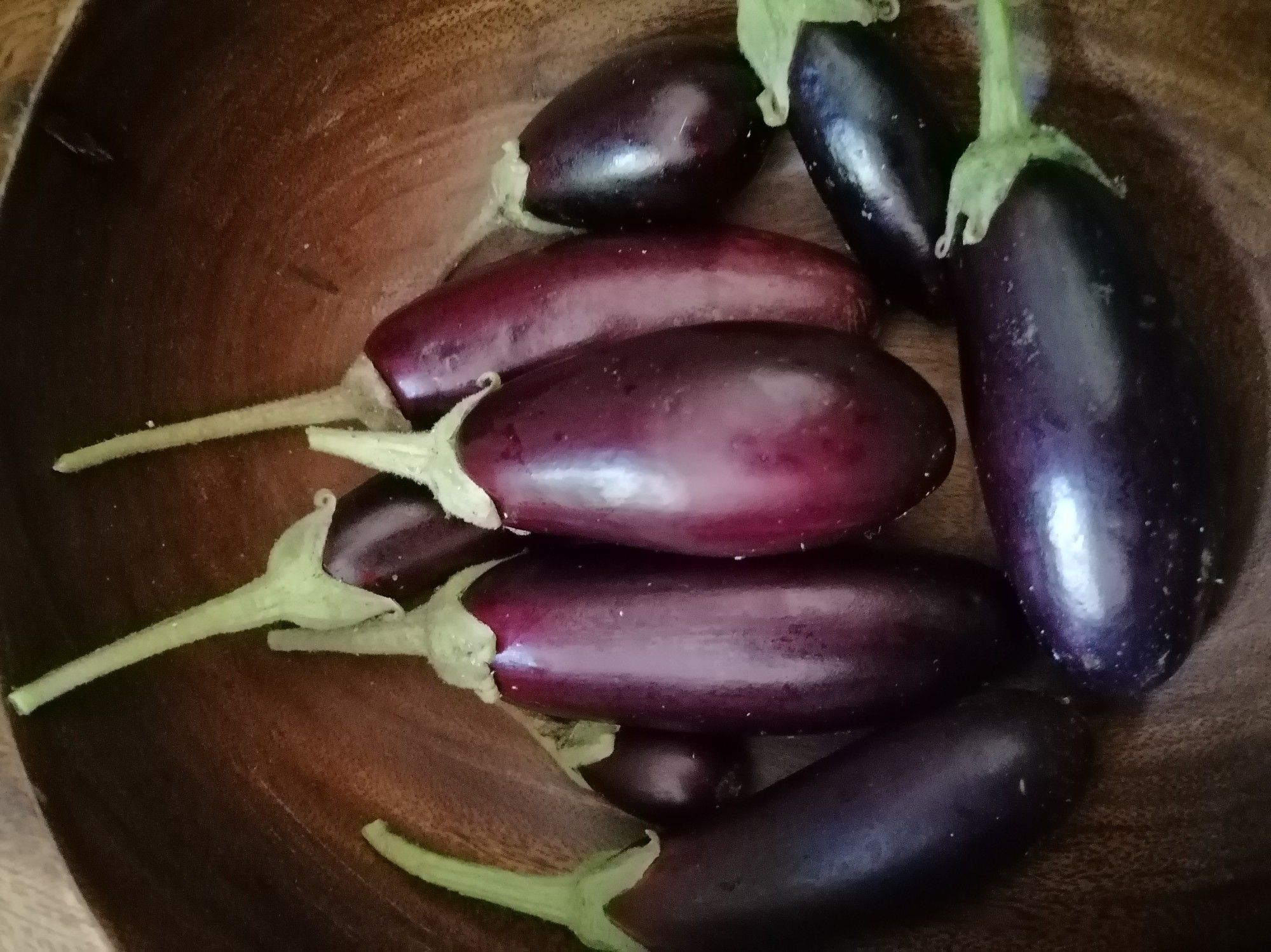 Aubergines of various sizes in a wooden bowl