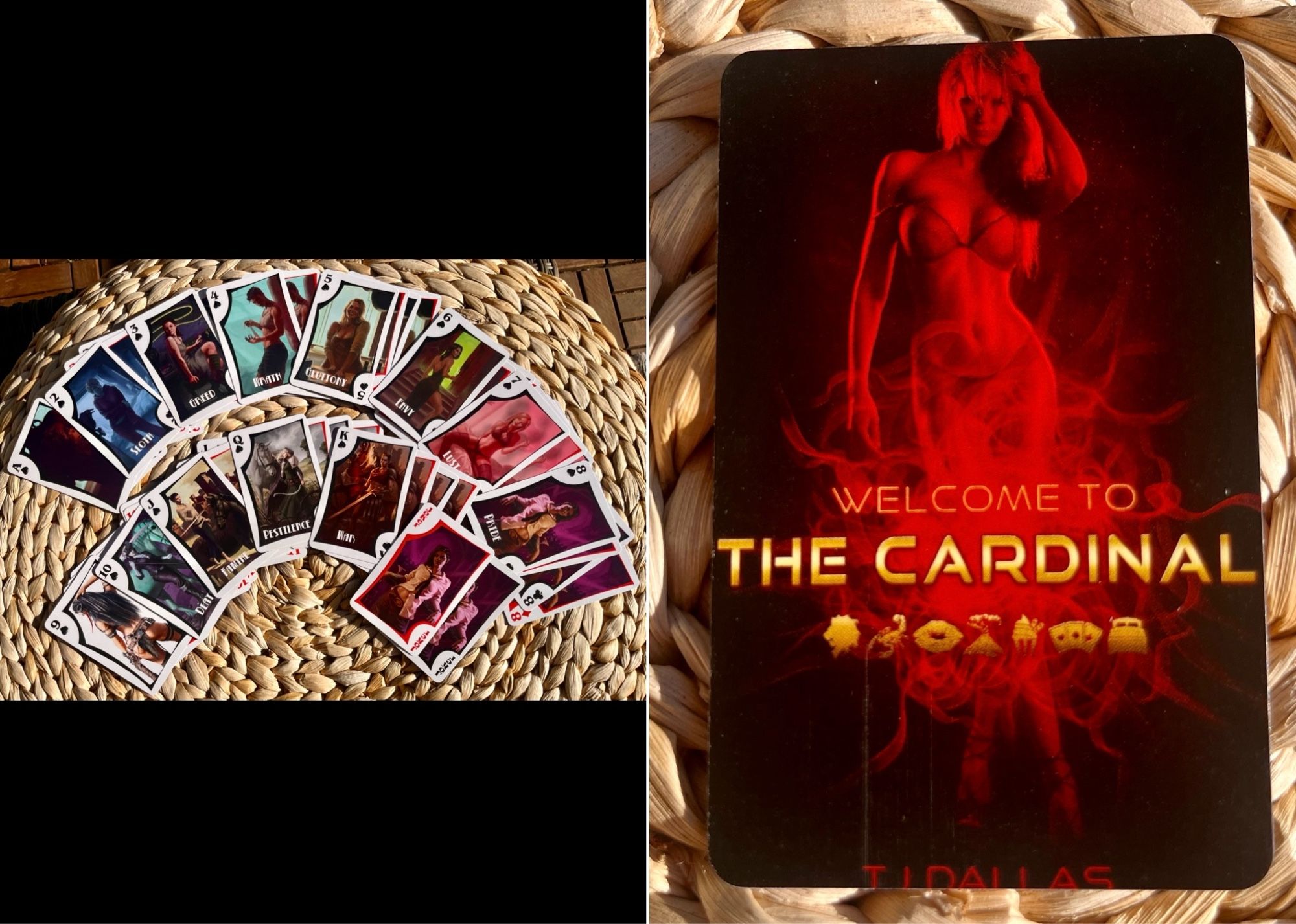 A deck of cards inspired by the book Welcome to the Cardinal by TJ Dallas.