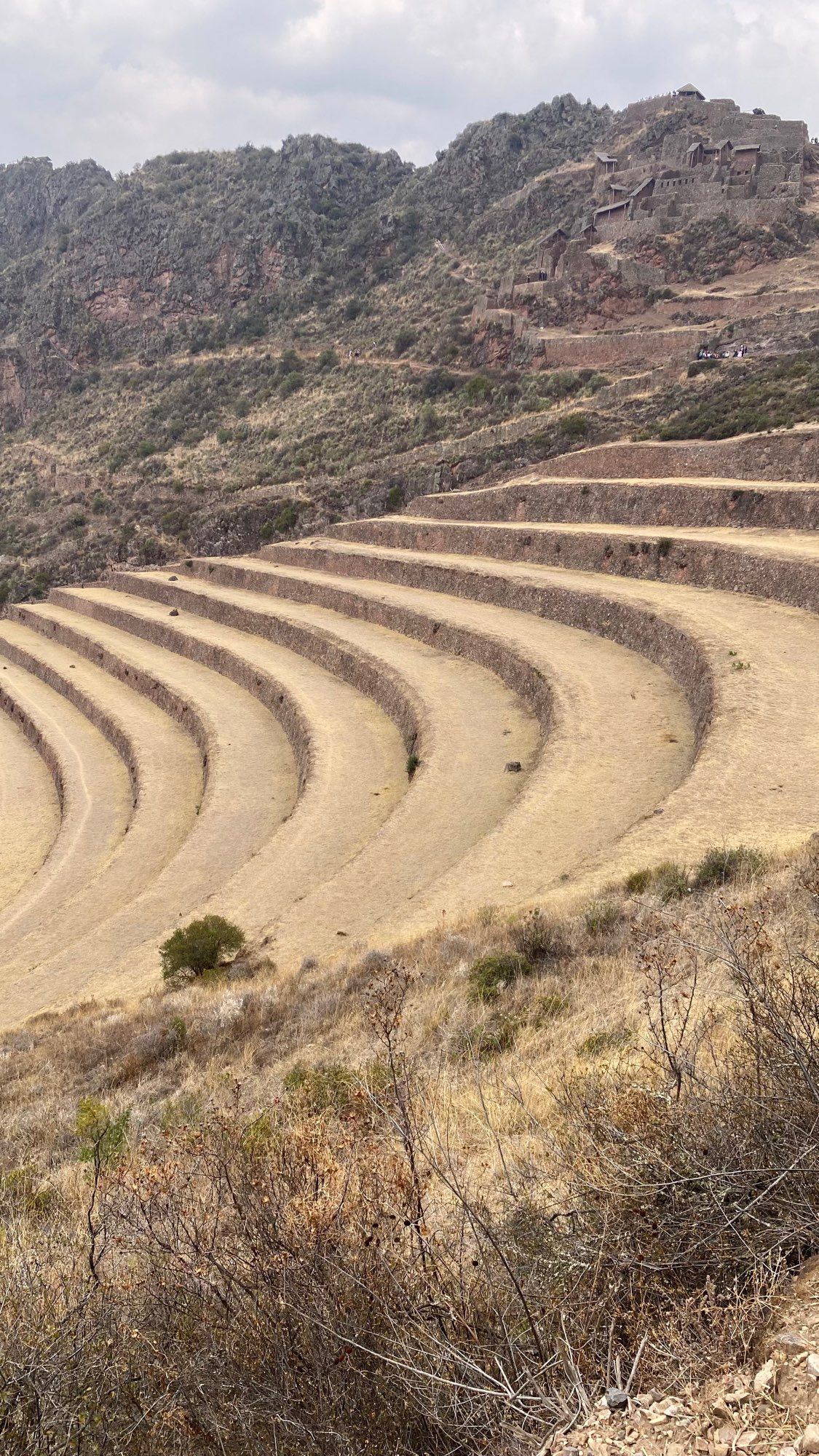 Níveis agrícolas (andenerías) em curva, predominantemente beges e rodeados de vegetação rasteira e esparsa. Ao fundo se veem montanhas com mais vegetação