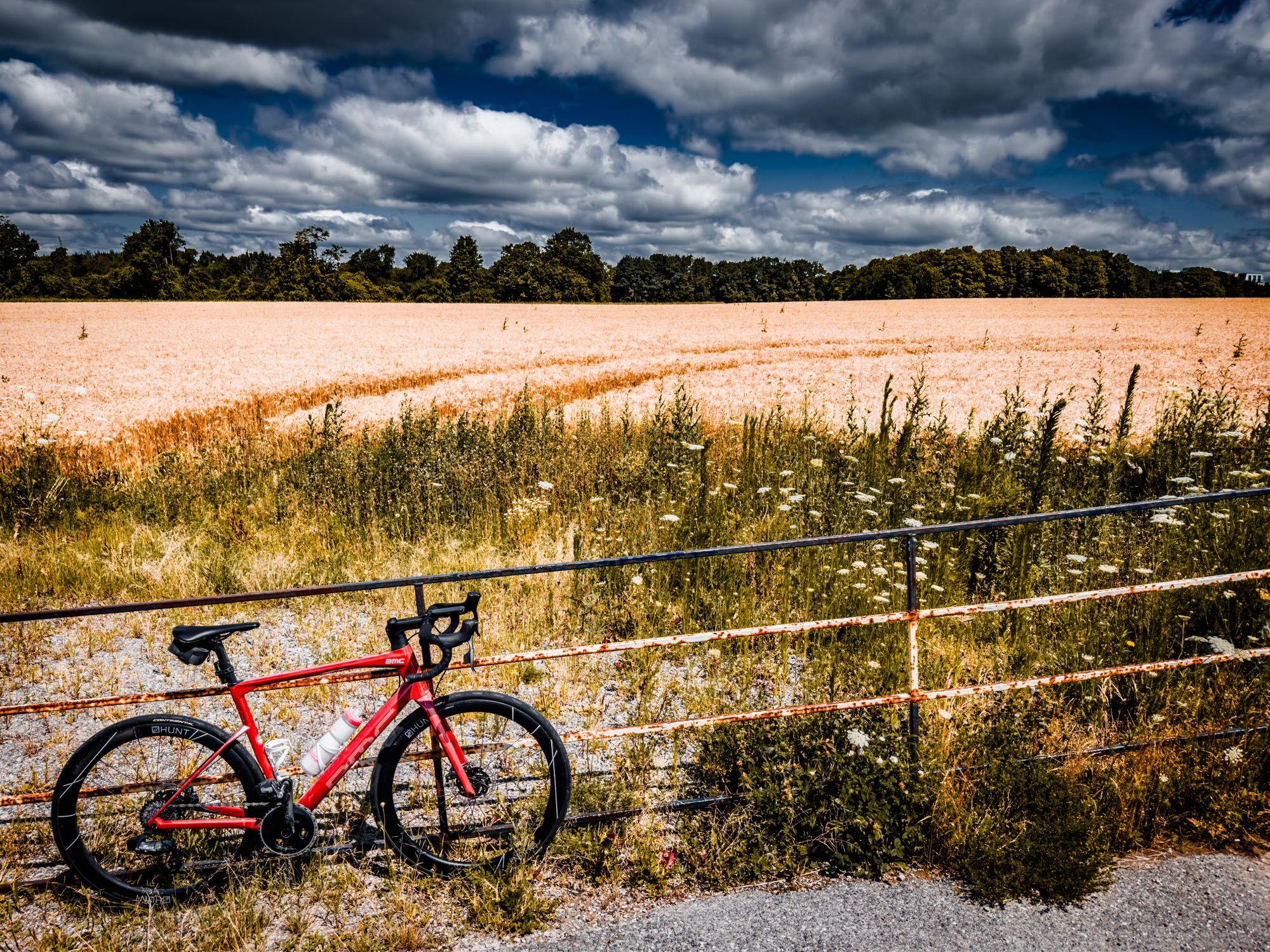 Photo of a red BMC roadmachine road bike standing up against a metal fence that leads to a farmers field. On the other side of the fence is some wild growth and then a field of soft golden crops. The sky above is dark and cloudy.