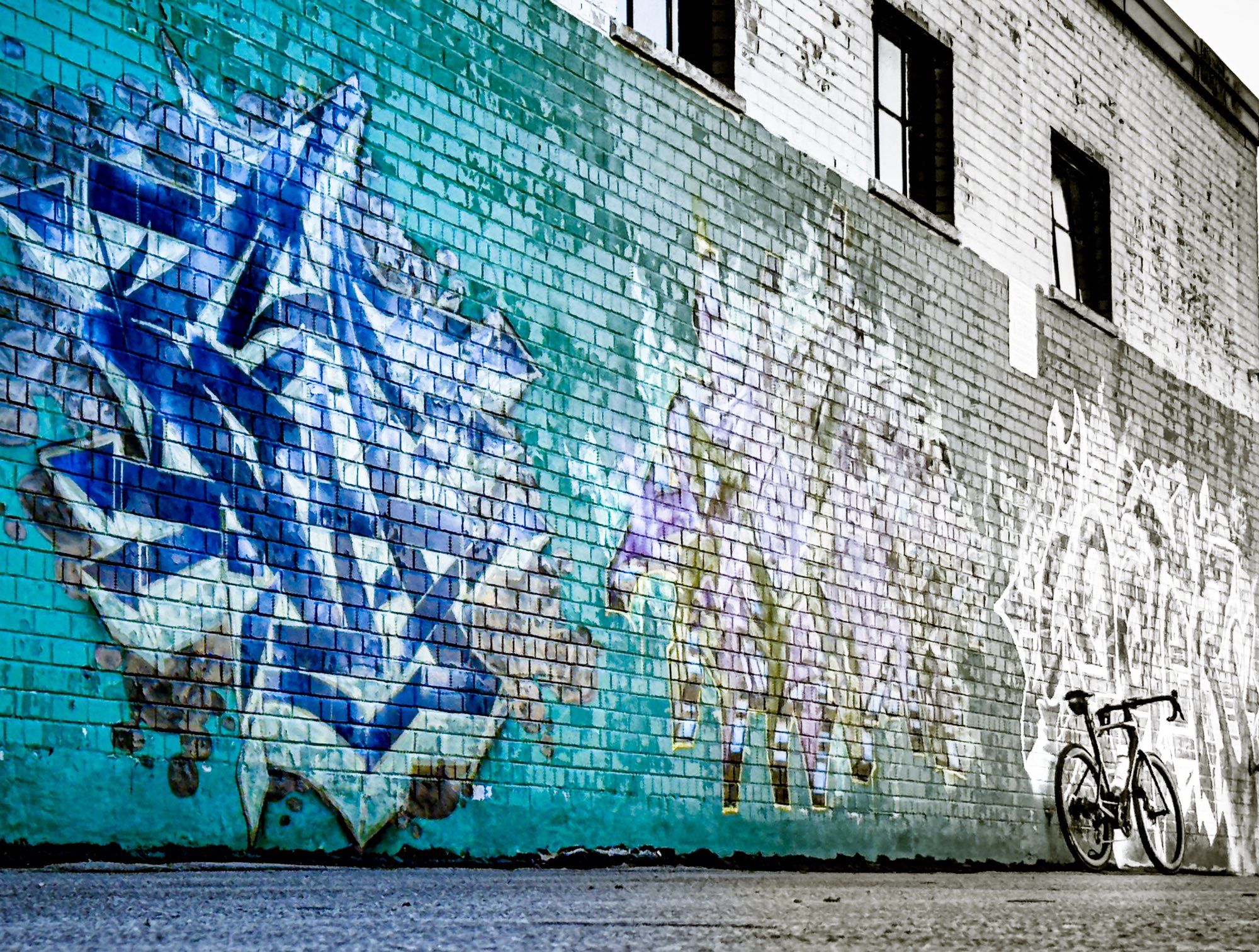 photo of a BMC roadmachine, road bike standing against a brick wall that is covered in graffiti style art. The left half of the photo is colour and it fades to fully monochrome on the right side of the photo. On the left side of the photo, the wall is green with a piece of graffiti that consist of dark blue, white and black paint. The bike is in the lower right hand corner of the photo in the monochrome portion.