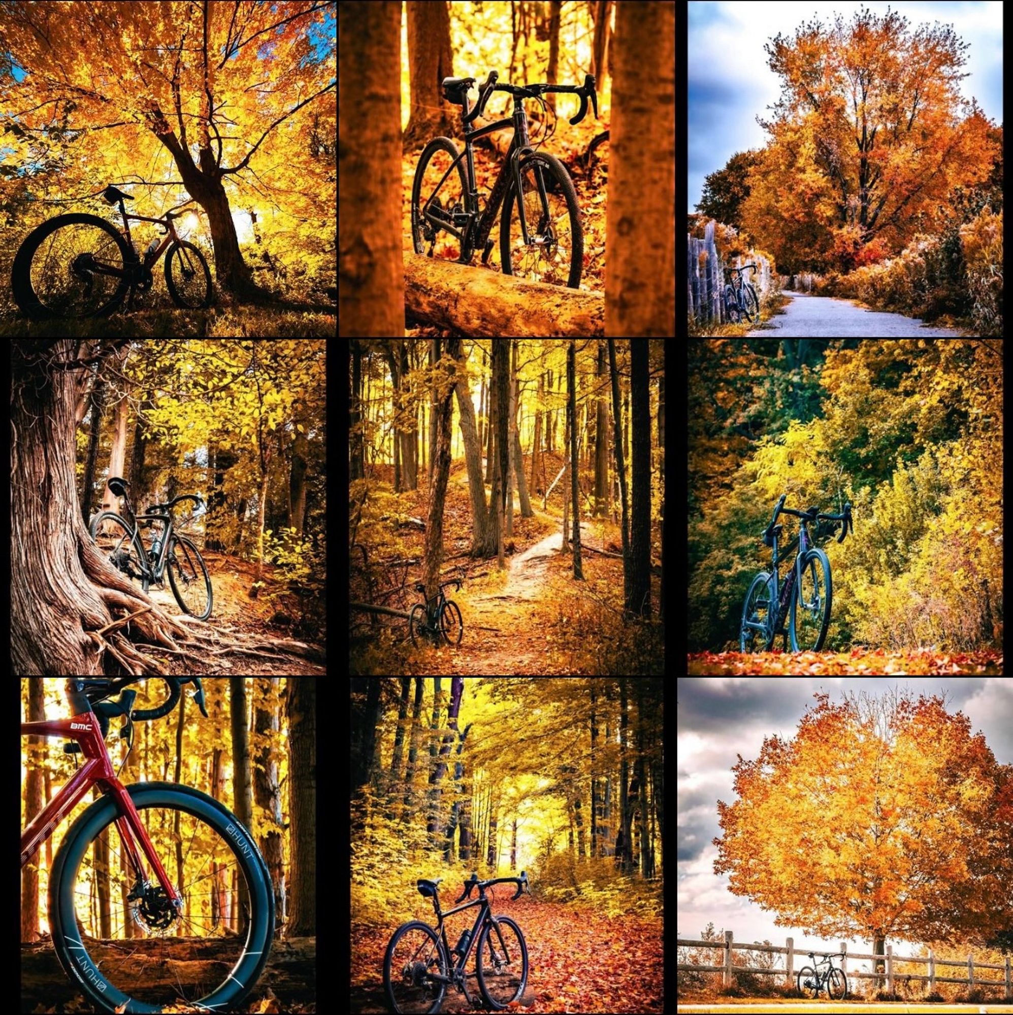 a grid of 9 photos of bikes in beautiful autumn settings