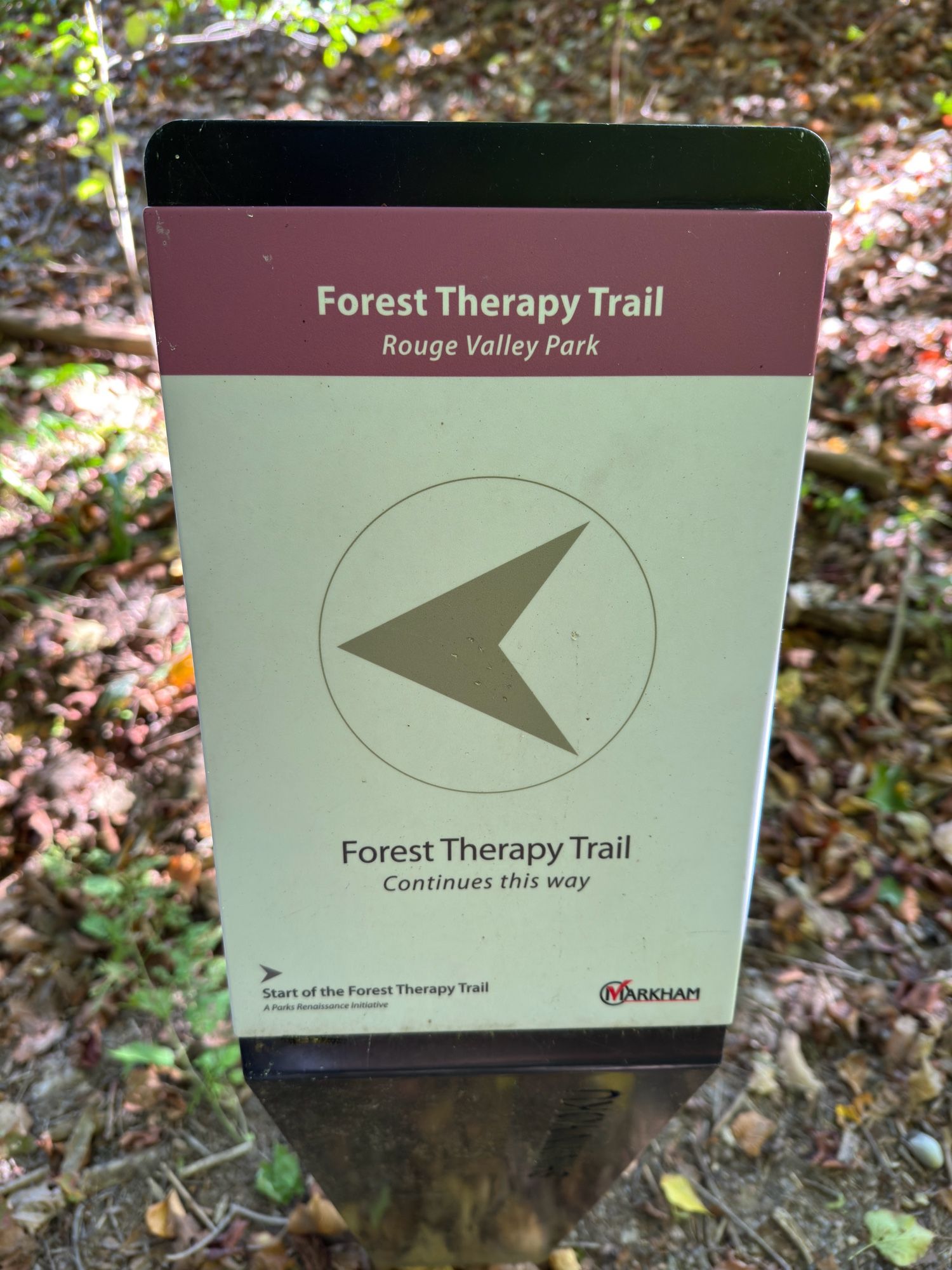 photo of a sign:
Forest Therapy Trail
Rouge Valley Park
Forest Therapy Trail
Continues this way
Start of the Forest Therapy Trail
A Parks Renaissance Initiative
MARKHAM