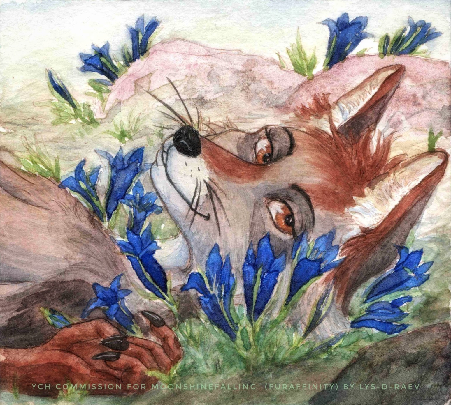 Coyote in blue flowers