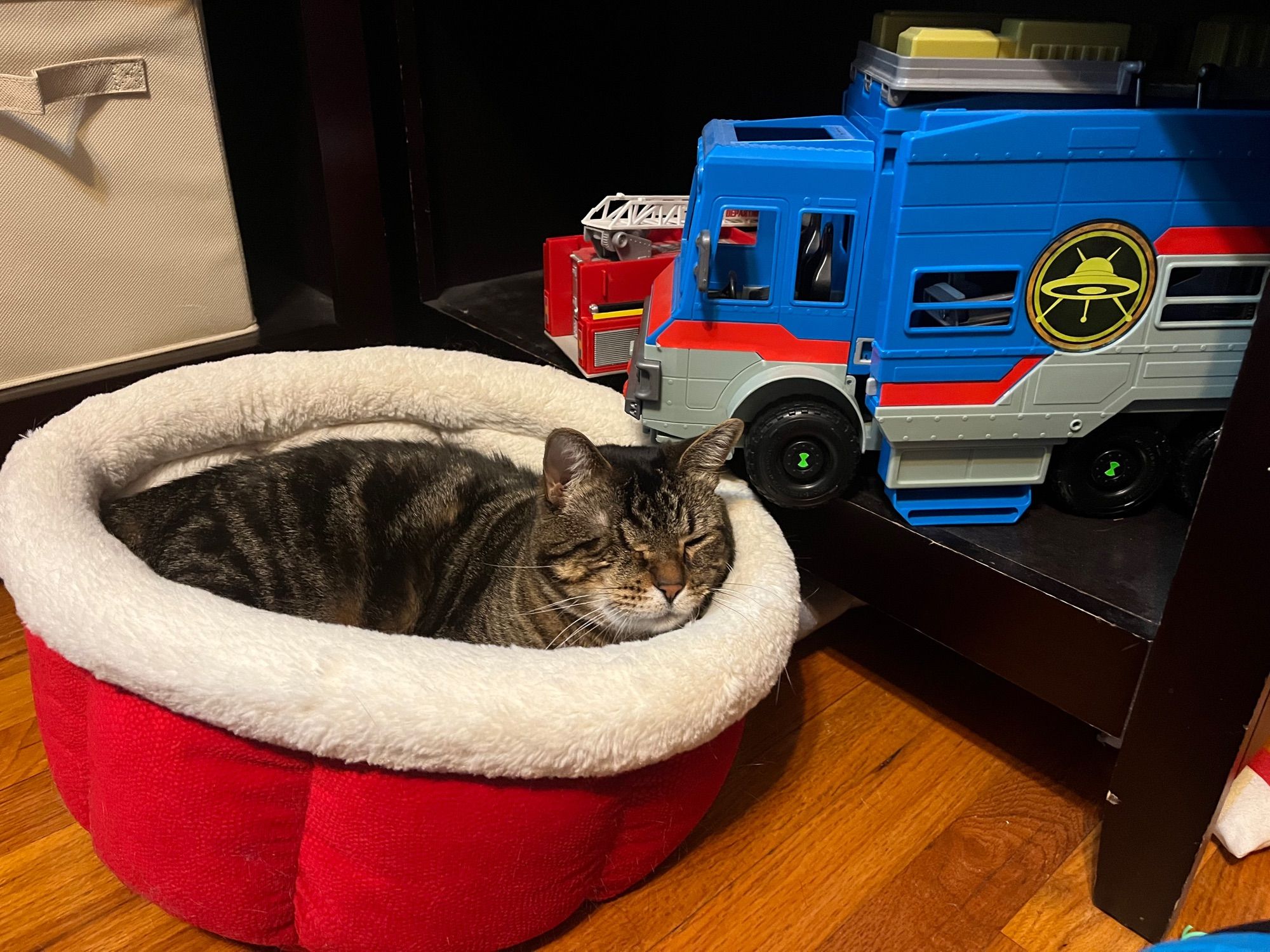 There is a one eyed, short haired tabby cat curled up asleep inside of a red and white circular, faux fur bed. There are shelves of children’s toys behind him. There is a gigantic, plastic blue truck behind his head. On the side of the truck is a logo with a UFO on it. The cat’s bed kind of looks like a flying saucer