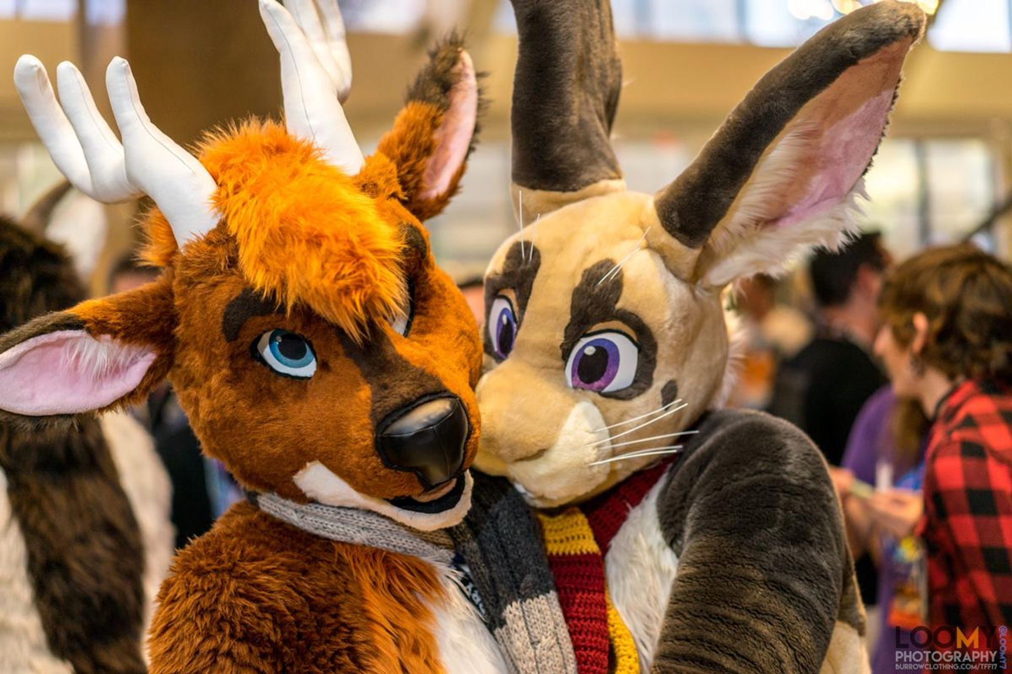 A photograph featuring a fursuit