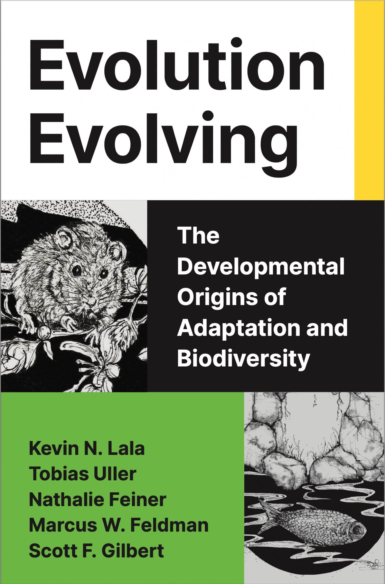 Cover of Lala et al's new book 'Evolution Evolving'