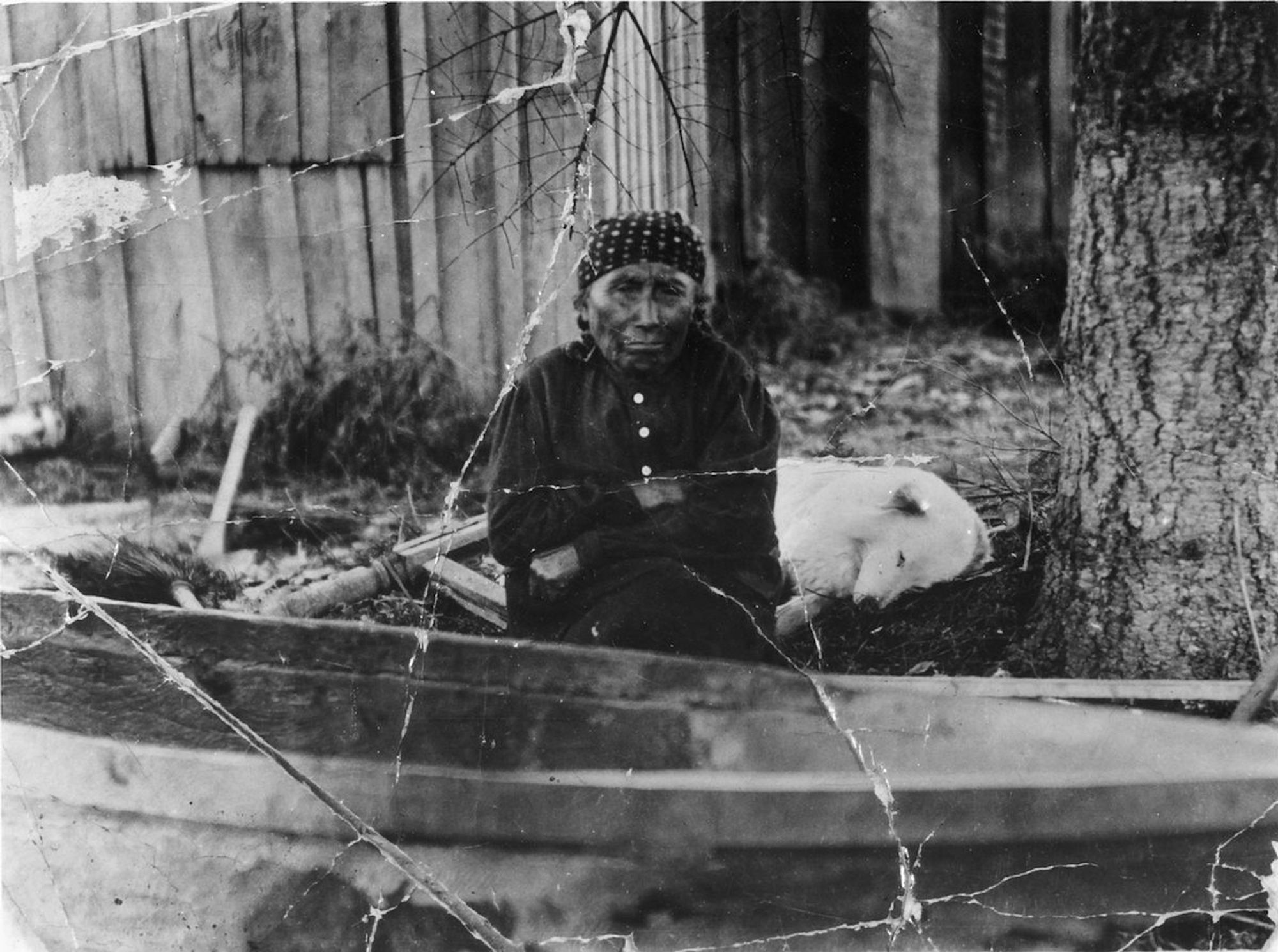 Mary Adams and her dog Jumbo, one of the last living Coast Salish woolly dogs. Credit: Suquamish Museum Archives