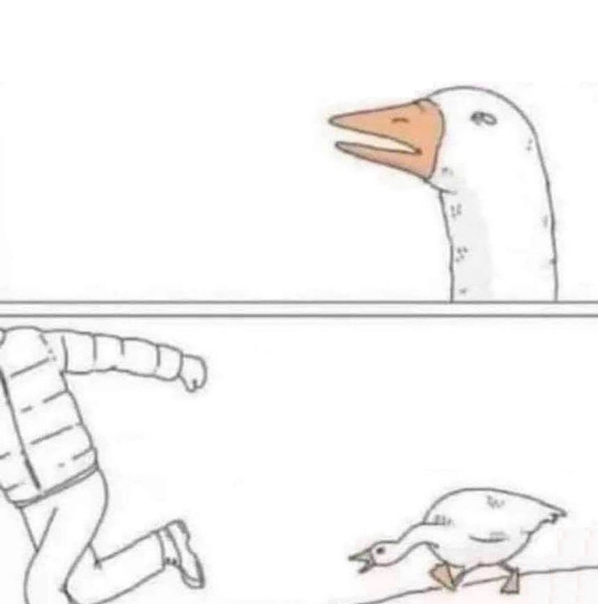 blank angry goose meme