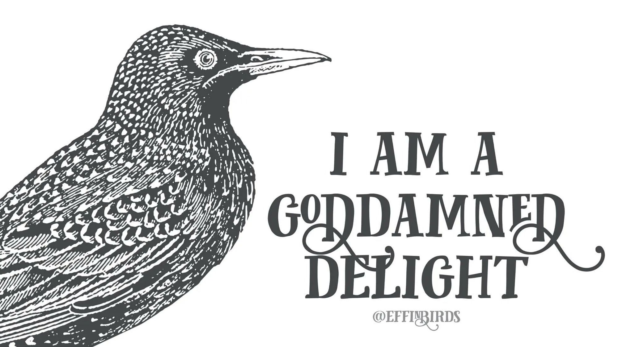 “I am a godamned delight “ by @effinbirds