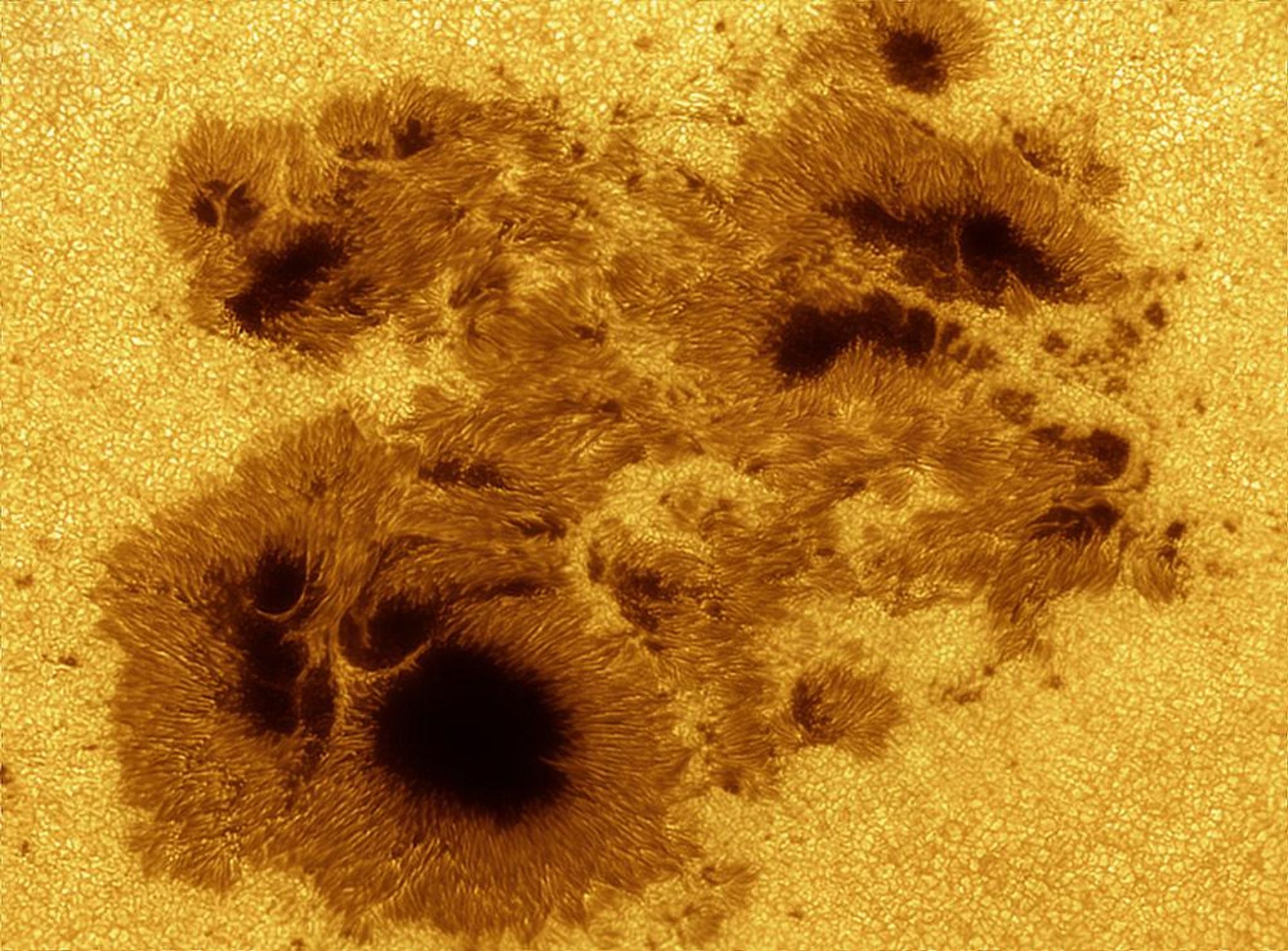 A close-up image of a sunspot group, AR 2192, captured by a telescope on October 22nd. The sunspot group is large, comparable in size to the diameter of Jupiter, and is visible as dark areas on the Sun's surface. The sunspot group is associated with powerful solar flares, including two X-class flares this week. The sunspot group is currently crossing the Earth-facing side of the Sun, and the potential for Earth-directed CMEs is significant.