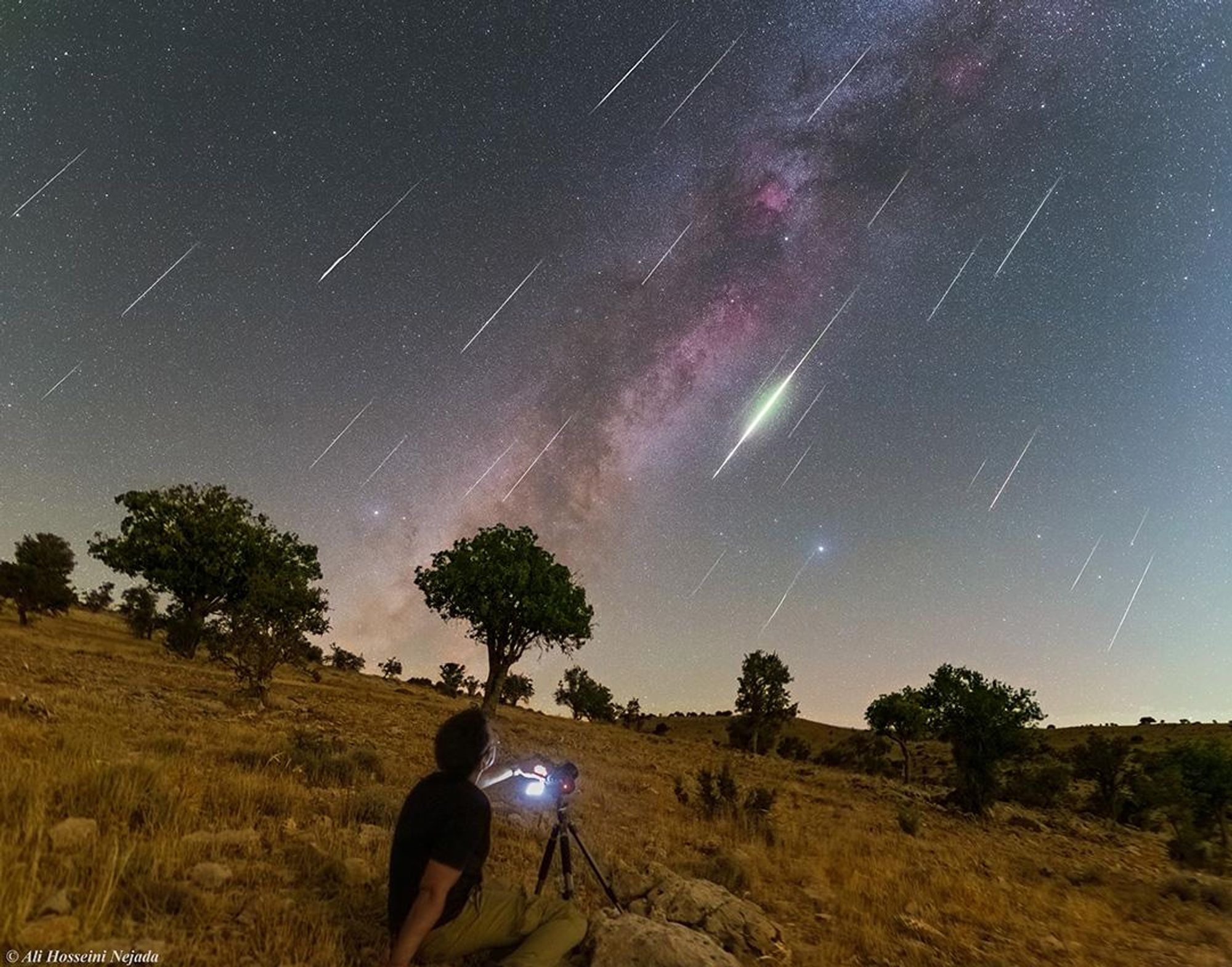 A composite image of the Perseid meteor shower, captured near the peak of the annual meteor shower between 02:00 AM and 04:30 AM local time on August 13, 2023. The image was taken from a grassy hillside in Shiraz, Iran and features multiple Perseid meteors streaking across the northern summer Milky Way. The Summer Triangle asterism, formed by the bright stars Deneb, Vega, and Altair, is visible spanning the luminous band of the Milky Way. A photographer is seen capturing the celestial event in the foreground.