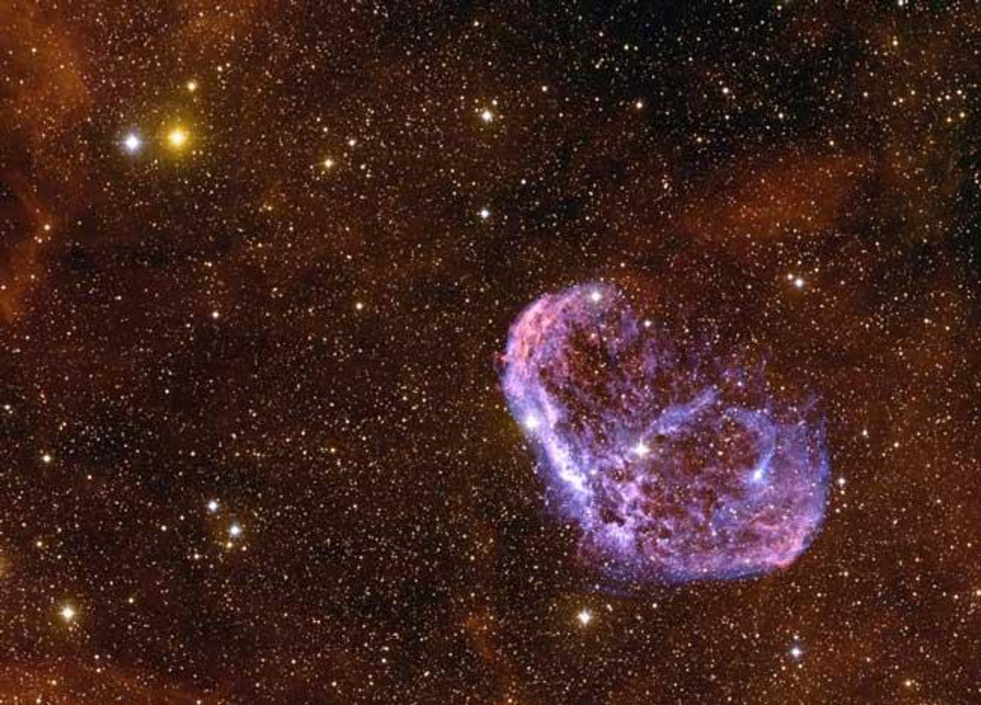 A vibrant, purple Crescent Nebula (NGC 6888) glowing in the darkness of space, illuminated by the Wolf-Rayet star WR 136.  This star is shedding its outer layers at an incredible rate and will likely explode as a supernova in the next million years.  The nebula is located about 4,700 light-years away in the constellation Cygnus.