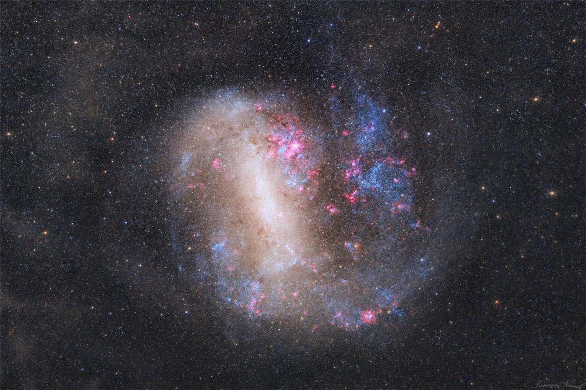 A vibrant image of the Large Magellanic Cloud (LMC), our galaxy's largest satellite galaxy, which spans about 10 degrees across the night sky. The image shows the LMC's central bar and single spiral arm, as well as numerous pink stellar nurseries where new stars are born, including the Tarantula Nebula, the most active star-forming region in the Local Group. This image was taken with a telescope in the Southern Hemisphere, where the LMC is visible.