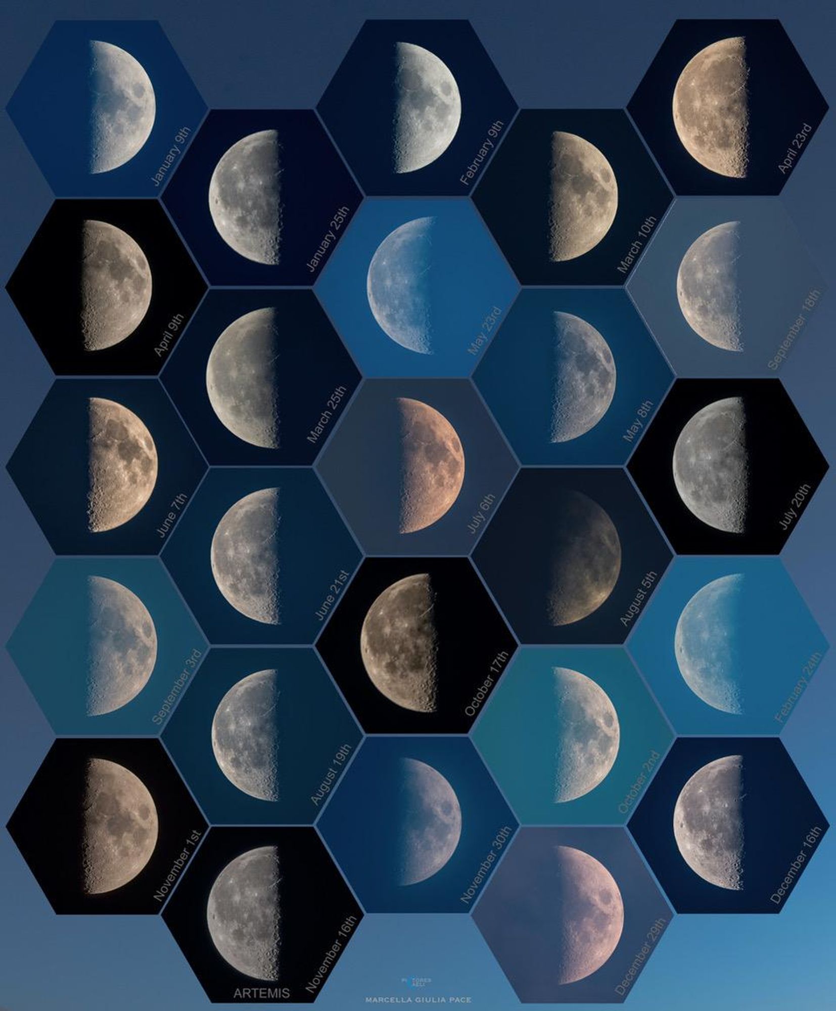 A honeycomb grid of 24 telephoto images of the moon in its first and third quarter phases throughout 2022. Each hexagon shows the moon illuminated from a slightly different angle, creating a visual representation of the moon's monthly orbit.  The dates of each lunar phase are printed below each moon. The title, "ARTEMIS," and the name "MARCELLA GIULIA PACE" are printed below the grid.