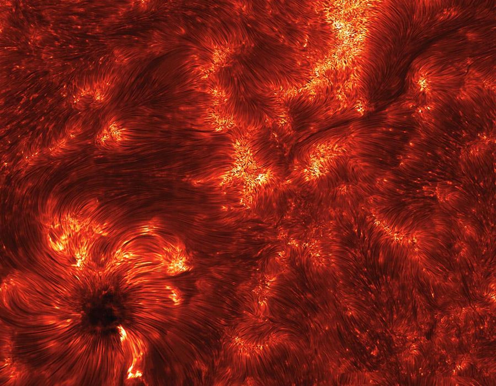 A close-up image of the Sun's surface showing a large number of spicules, which are narrow jets of hot gas that shoot up from the surface.  The spicules are visible as bright, thin lines in the image, and they converge on a sunspot in the lower left corner. The image was taken in ultraviolet light.