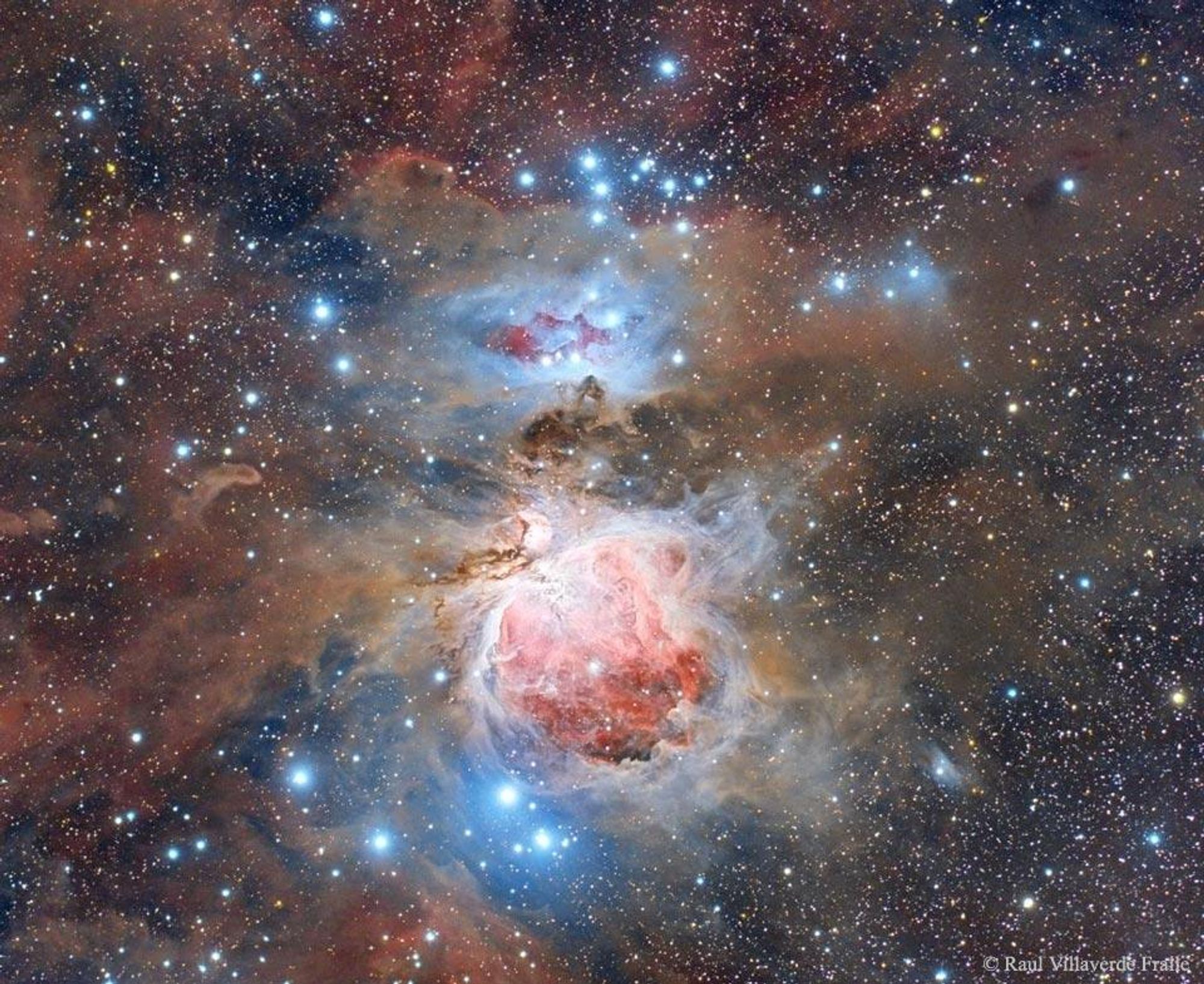 A stunning image of the Orion Nebula (M42), a star-forming region located about 1600 light years away. The nebula is surrounded by intricate filaments of dust, which appear brown in the image. The central glowing gas is highlighted in red. The Trapezium star cluster, a group of young, hot stars, is embedded within the nebula. The image was taken by Raul Villaverde Fraile.