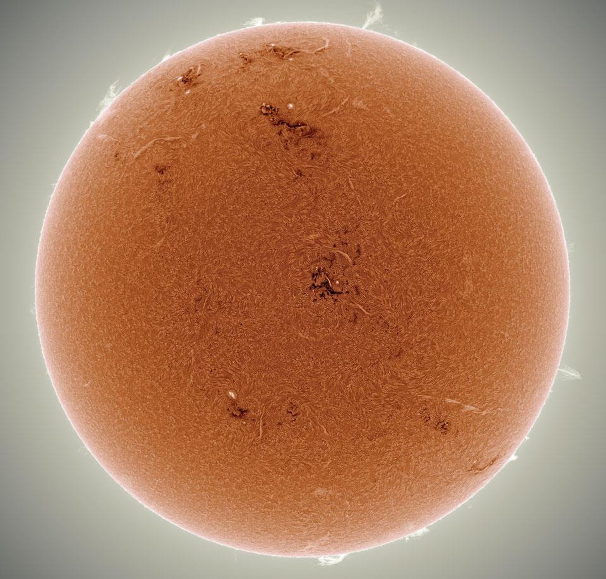 A close-up image of the Sun taken in Hydrogen Alpha light, showing numerous active regions, including sunspots, filaments, and prominences. The Sun is currently at Solar Maximum, its most active phase in its 11-year magnetic cycle, and is experiencing a surge of solar activity.