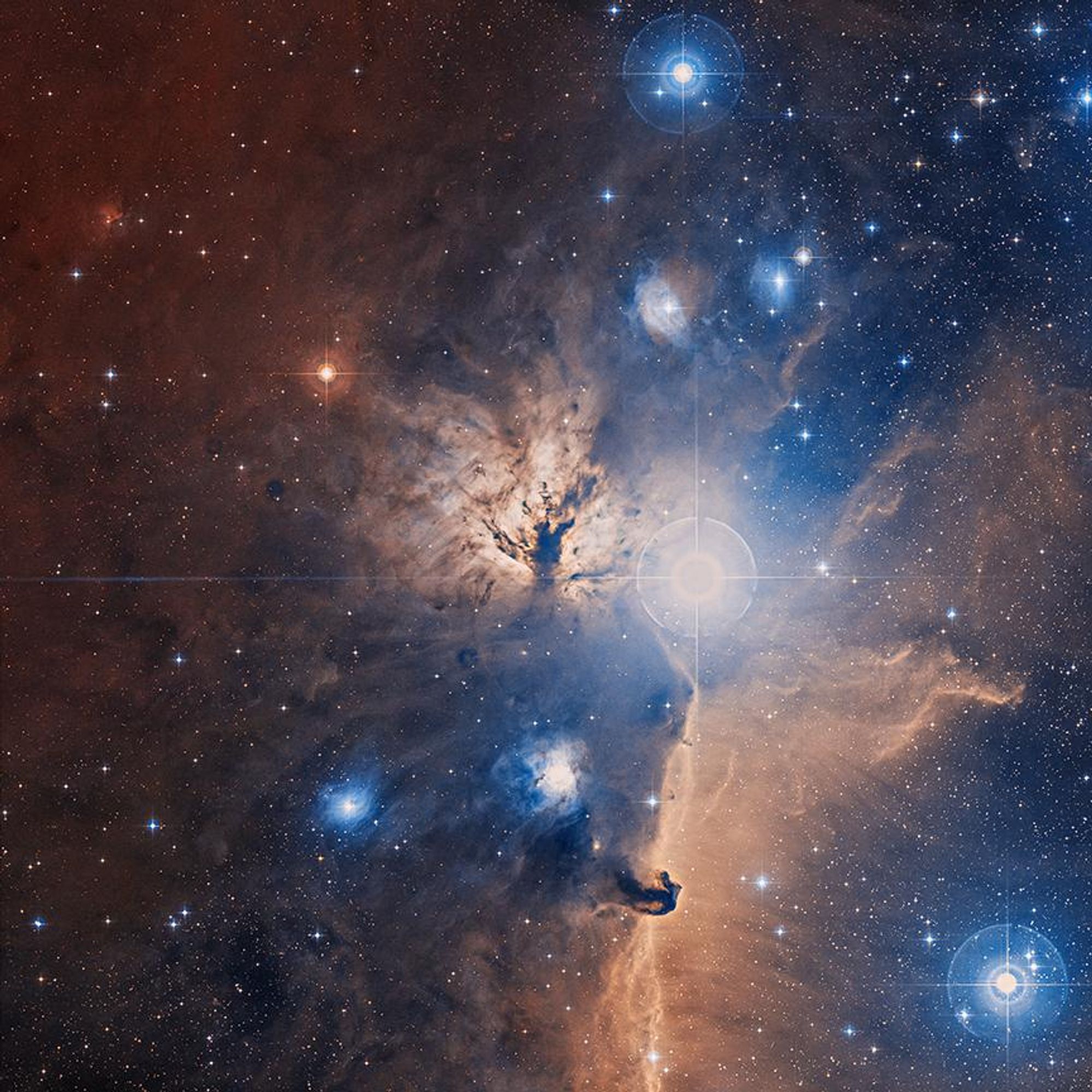 A colorful composite image of the Flame Nebula (NGC 2024) in Orion, made with X-ray and infrared data. The image reveals a glowing gas and obscuring dust clouds, as well as many stars of the recently formed, embedded cluster NGC 2024, ranging in age from 200,000 years to 1.5 million years young.