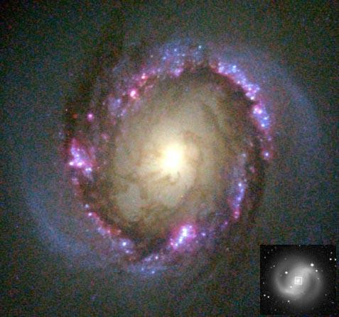 A close-up image of the barred spiral galaxy NGC 4314 taken by the Hubble Space Telescope, revealing a ring of bright young stars that has been evolving over millions of years. The inset shows the entire galaxy, captured by the McDonald Observatory.  The galaxy's core appears like a miniature spiral galaxy with dust lanes and spiral arms.  Further studies of NGC 4314 will reveal how the inner and outer parts of this galaxy interact, and what caused the unusual ring of star formation.