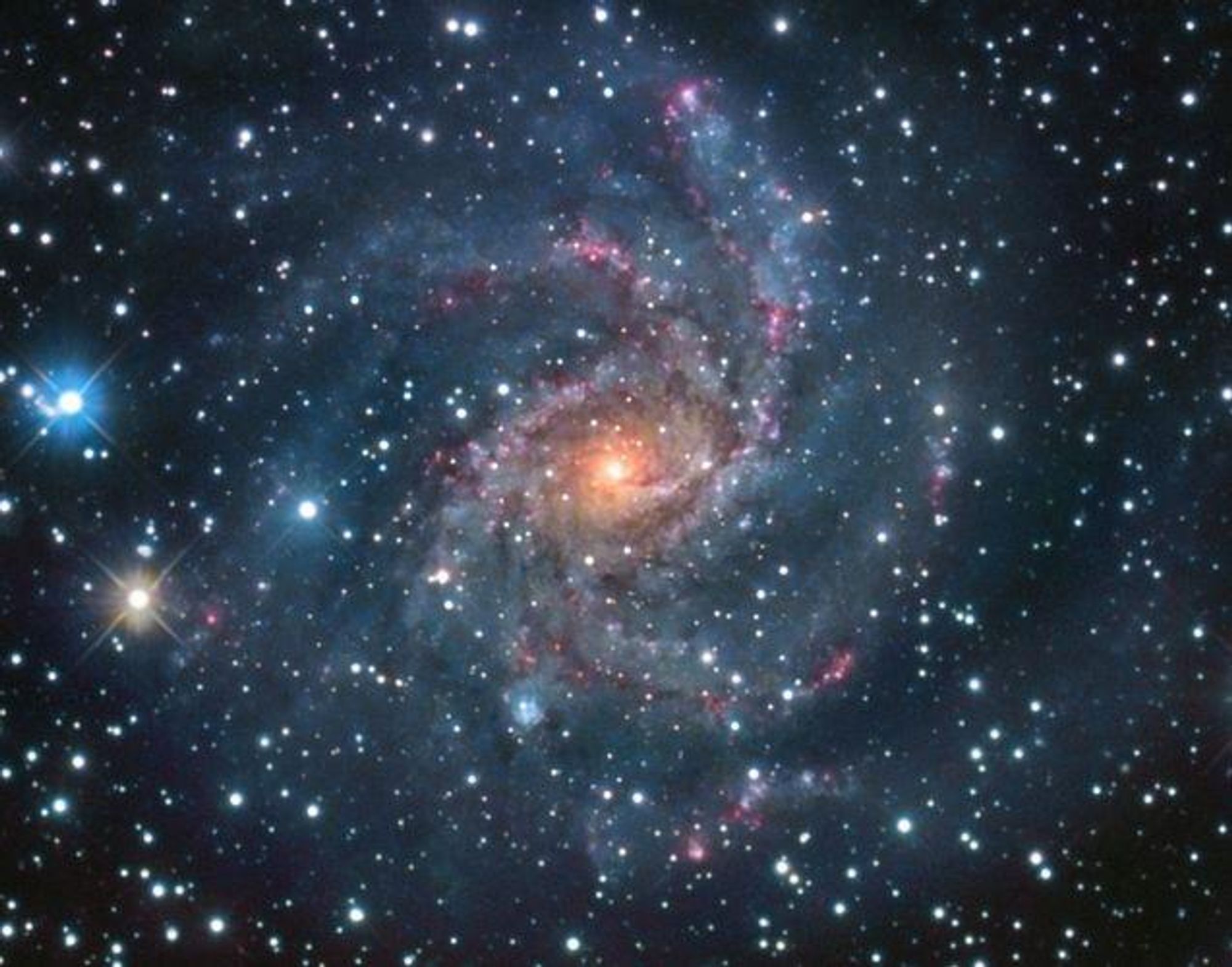 A composite color image of the spiral galaxy NGC 6946, located 10 million light-years away in the constellation Cepheus. The image shows the galaxy's bright core, loose spiral arms, and numerous young blue star clusters and reddish star-forming regions. NGC 6946 is known for its high star birth and death rate and has experienced at least six supernovae in the 20th century.