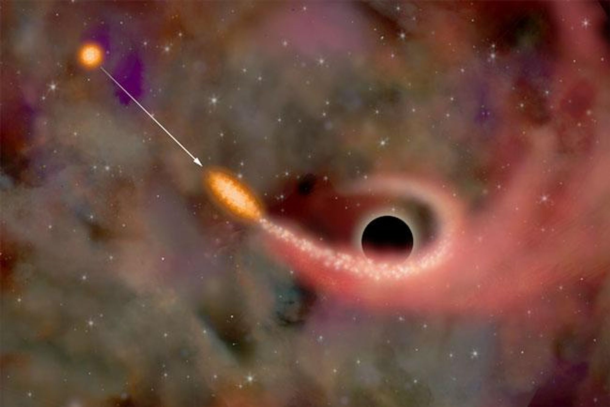 An artist's illustration depicts a black hole ripping apart a star with its strong tidal forces, causing some of the star's gas to fall into the black hole and emit X-rays. The remaining stellar remains are flung out into the galaxy. This rare event occurs perhaps only once every 10,000 years for typical black holes at the center of galaxies.  The black hole is in the lower right of the image, with the star to the left.  A stream of gas from the star is stretching towards the black hole.  The background is a field of stars.