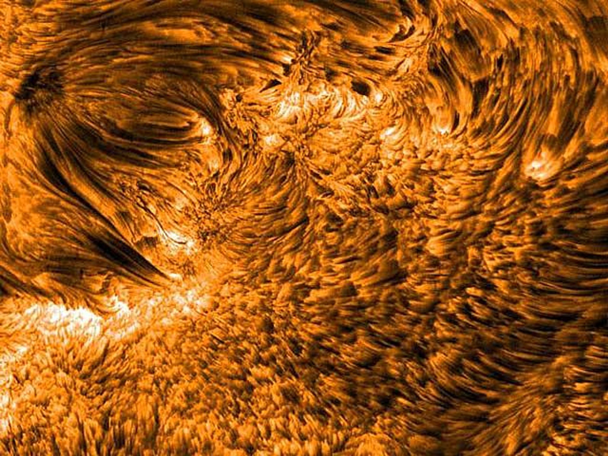 A high-resolution image of the Sun's surface, revealing a carpet of dark tubes, known as spicules. These enigmatic solar flux tubes are filled with hot gas that moves at speeds of 50,000 kilometers per hour and last about five minutes.  Recent studies have shown that spicules are caused by sound-like waves that flow over the Sun's surface and leak into its atmosphere.