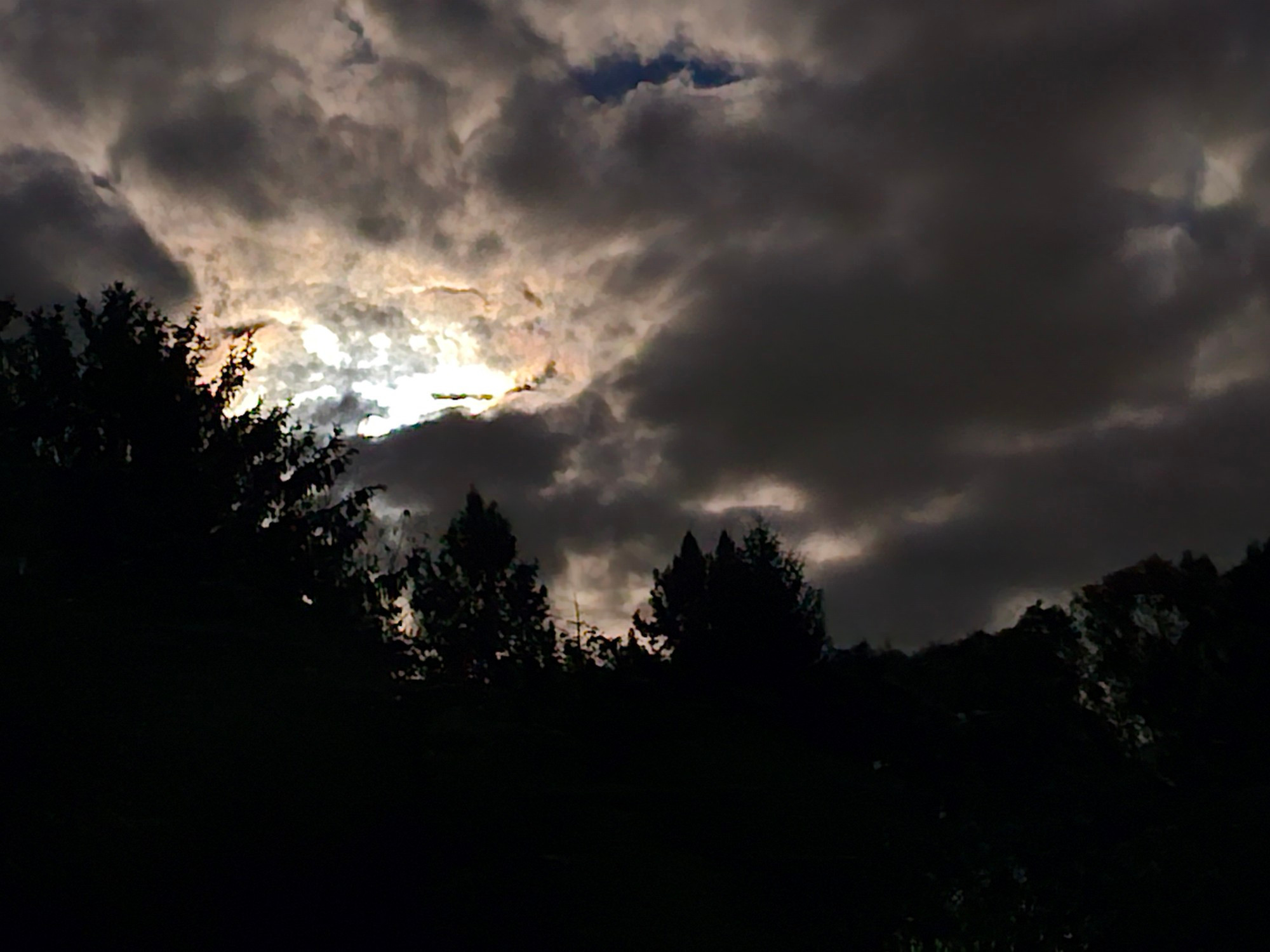 Foreground of dark trees in front of a mostly cloudy sky lit up spookily by the moon