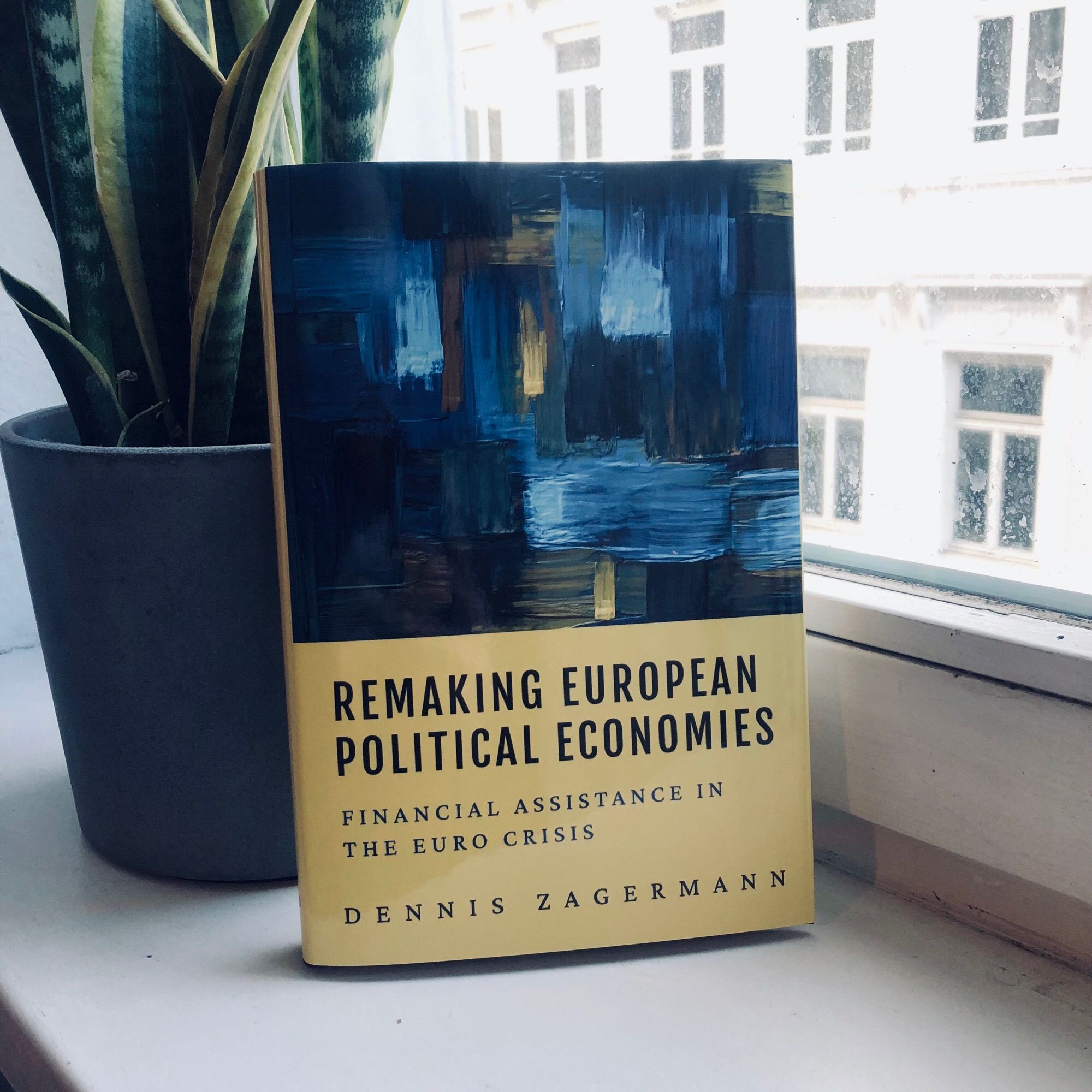 Das Bild zeigt das Buch Remaking European Political Economies auf einer Fensterbank. Das Buch lehnt gegen eine Zimmerpflanze.