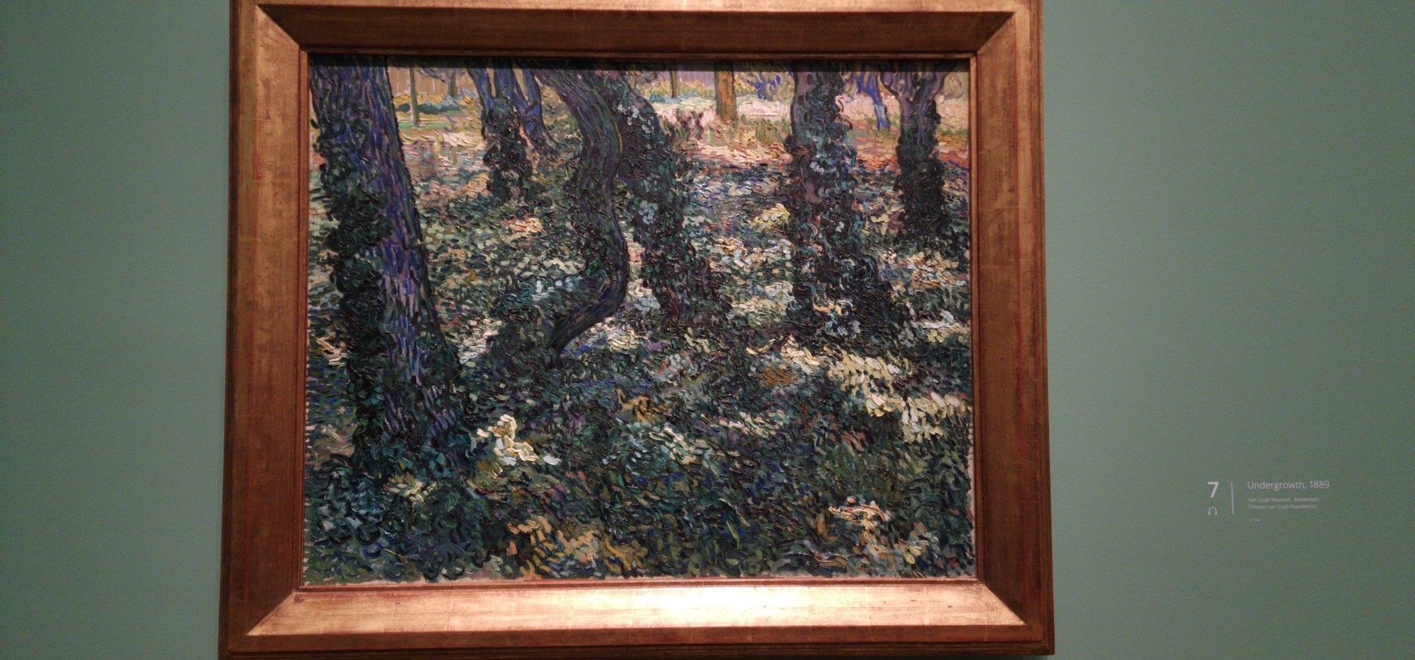 Undergrowth by Vincent van Gogh