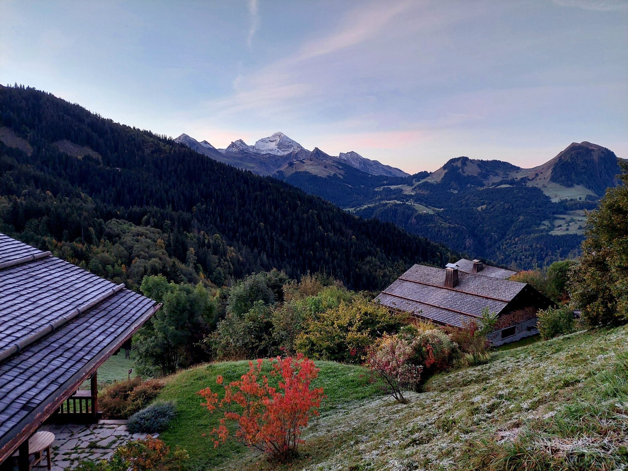 Photo of two wooden houses and a red bush before a mountain chain at dusk