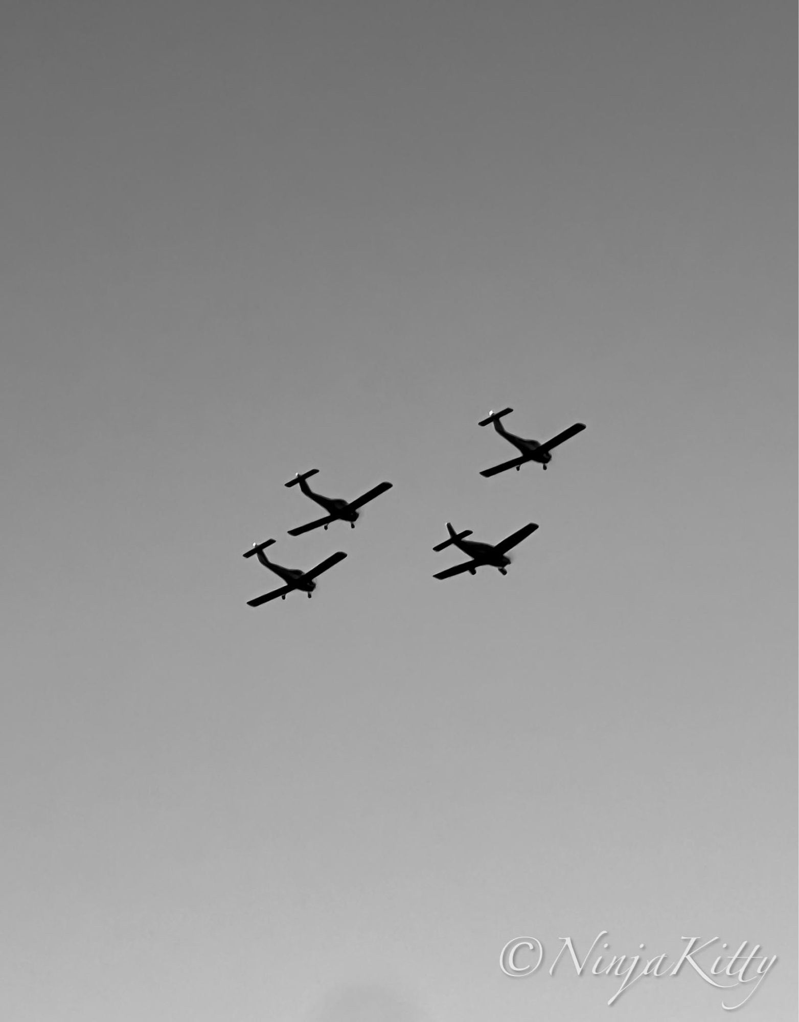 Image shows four planes doing a formation flyover Heretaunga | Hastings