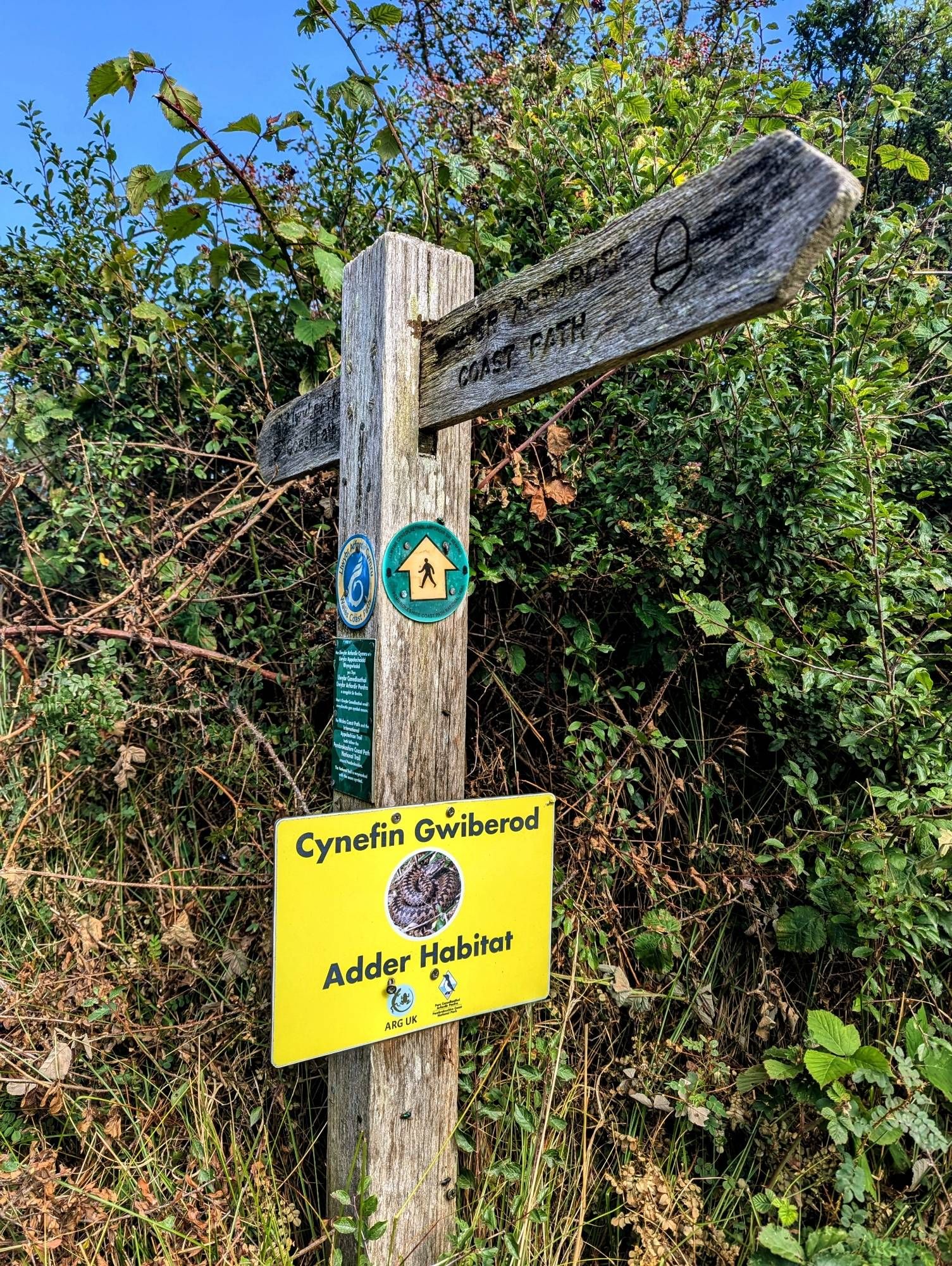 A finger post stands in scrub. On the shaft of the post a yellow sign had been added notifying users that this is an adder habitat.