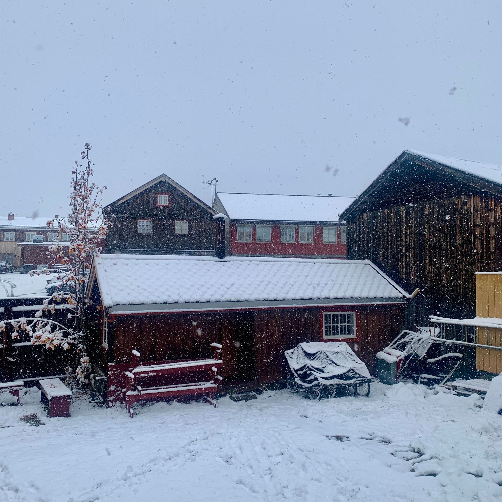 Gamle bygninger dekket av fersk snø