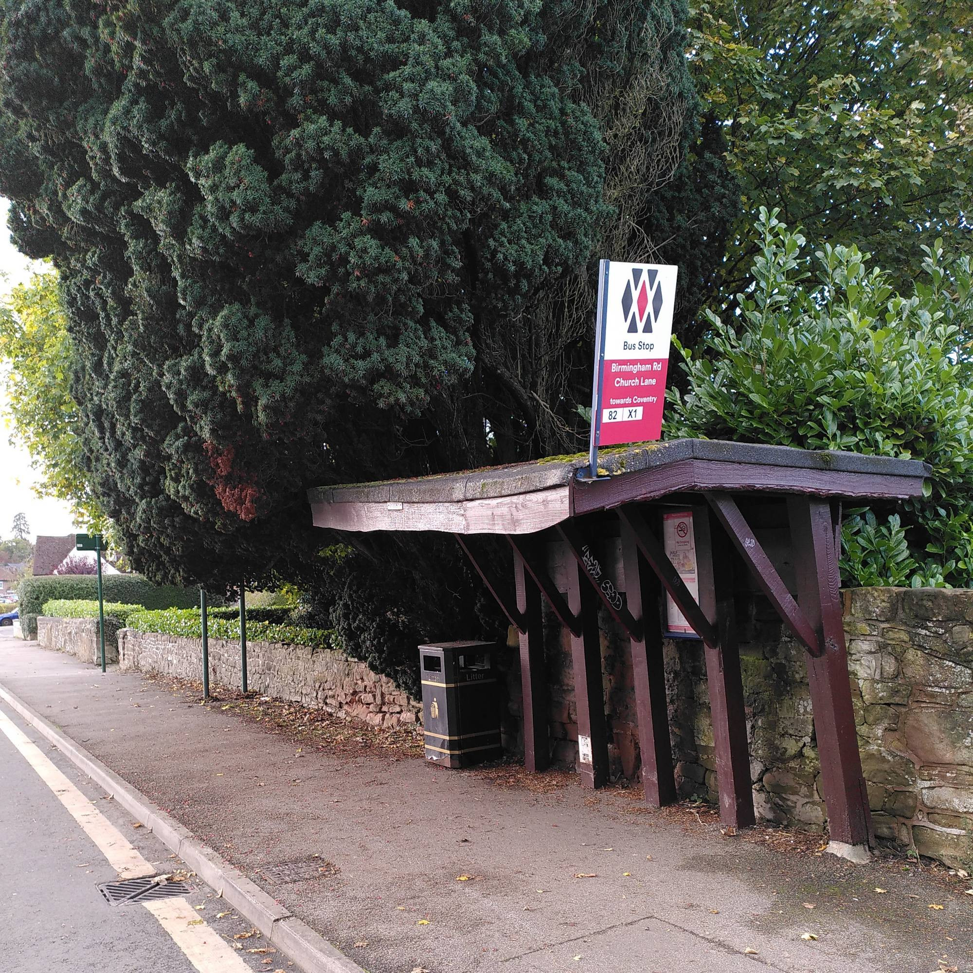 Simple wooden bus shelter with a yew tree growing round and over it, Meriden, between Coventry & Birmingham, England.