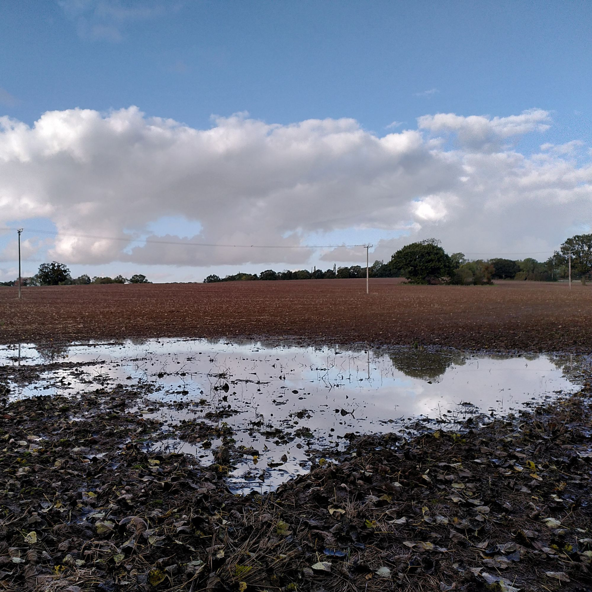 A field in Meriden, England, bare earth, mud, a large puddle reflecting clouds in the blue sky.