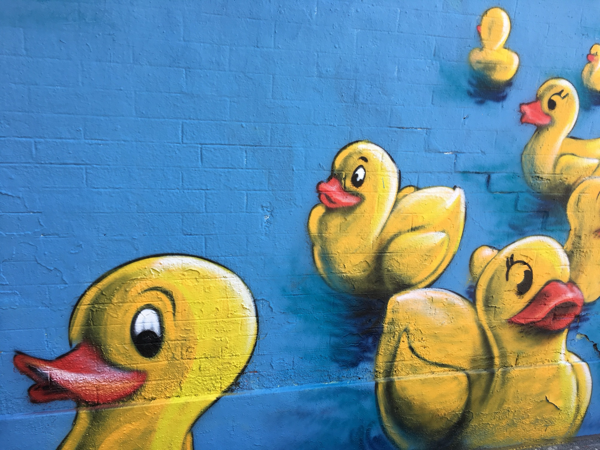 Graffiti von sieben gelben Enten mit roten Schnäbel vor blauem Hintergrund