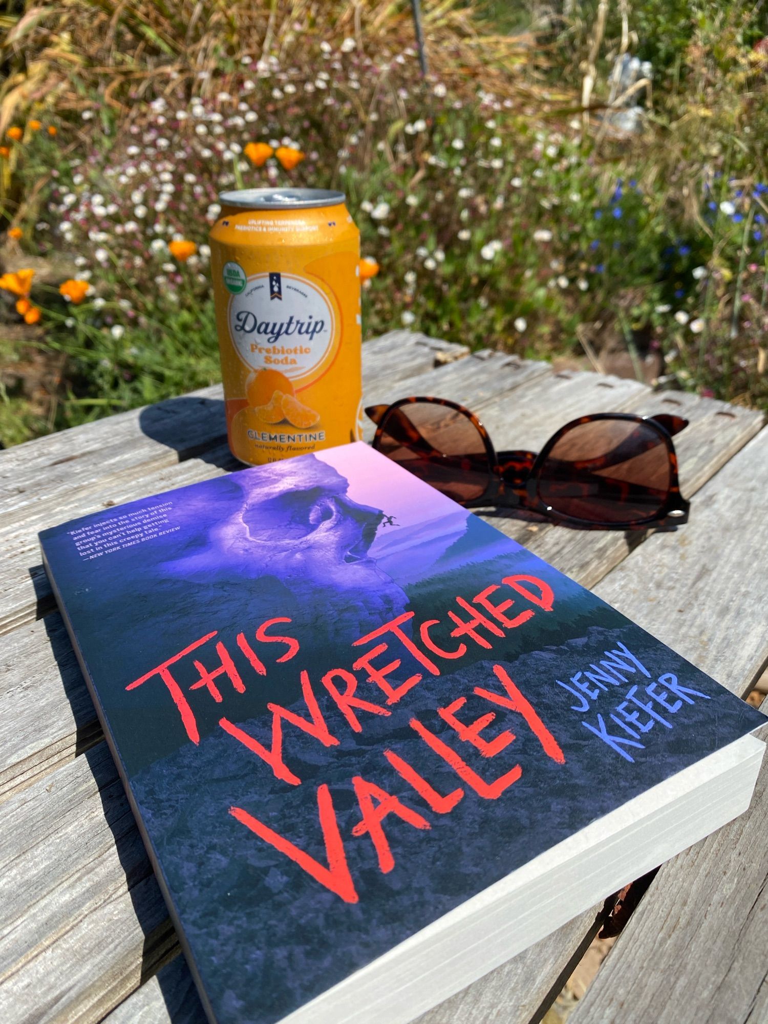 A copy of This Wretched Valley on a table outdoors, with sunglasses and a can of Daytrip soda